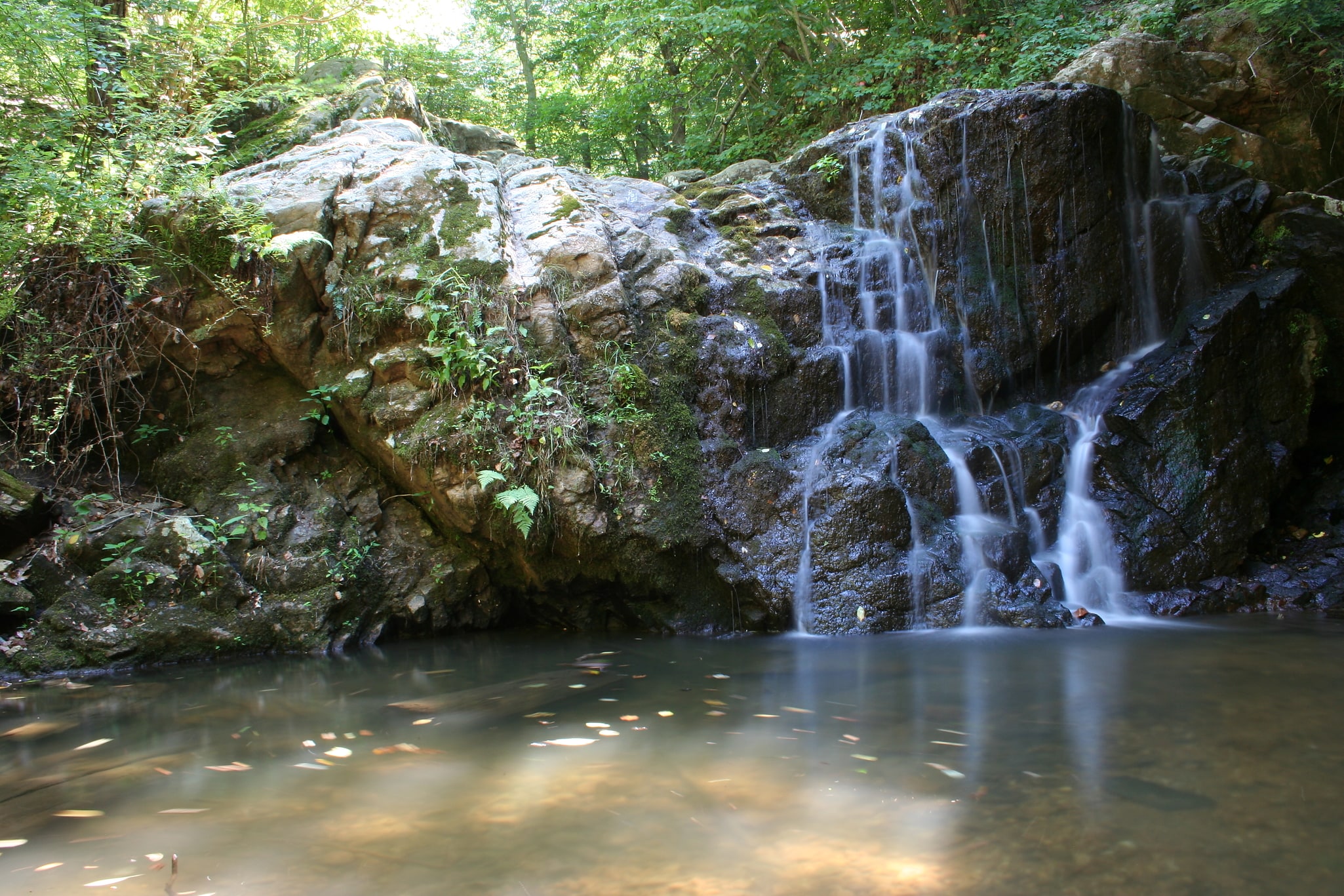 Patapsco Valley State Park, Estados Unidos