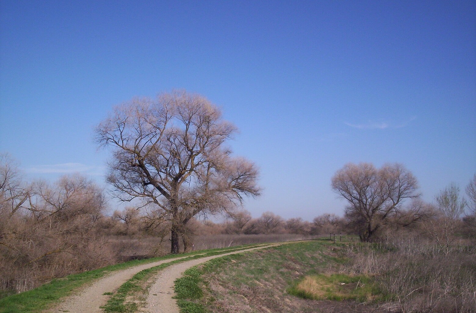 San Luis National Wildlife Refuge, Stany Zjednoczone