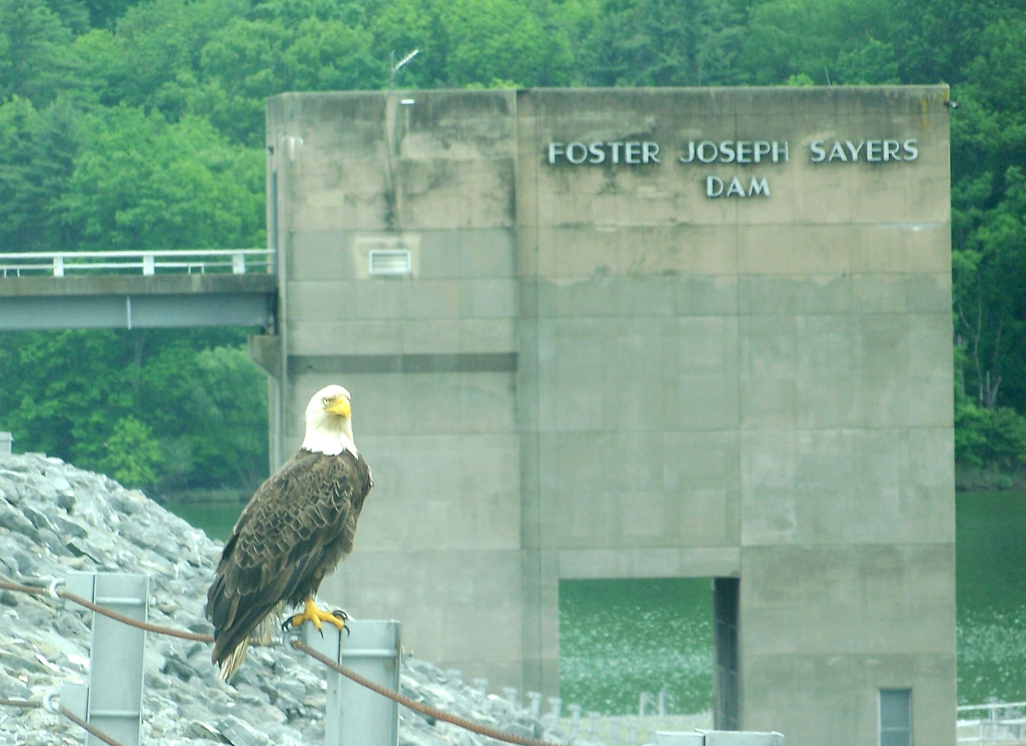 Park Stanowy Bald Eagle, Stany Zjednoczone
