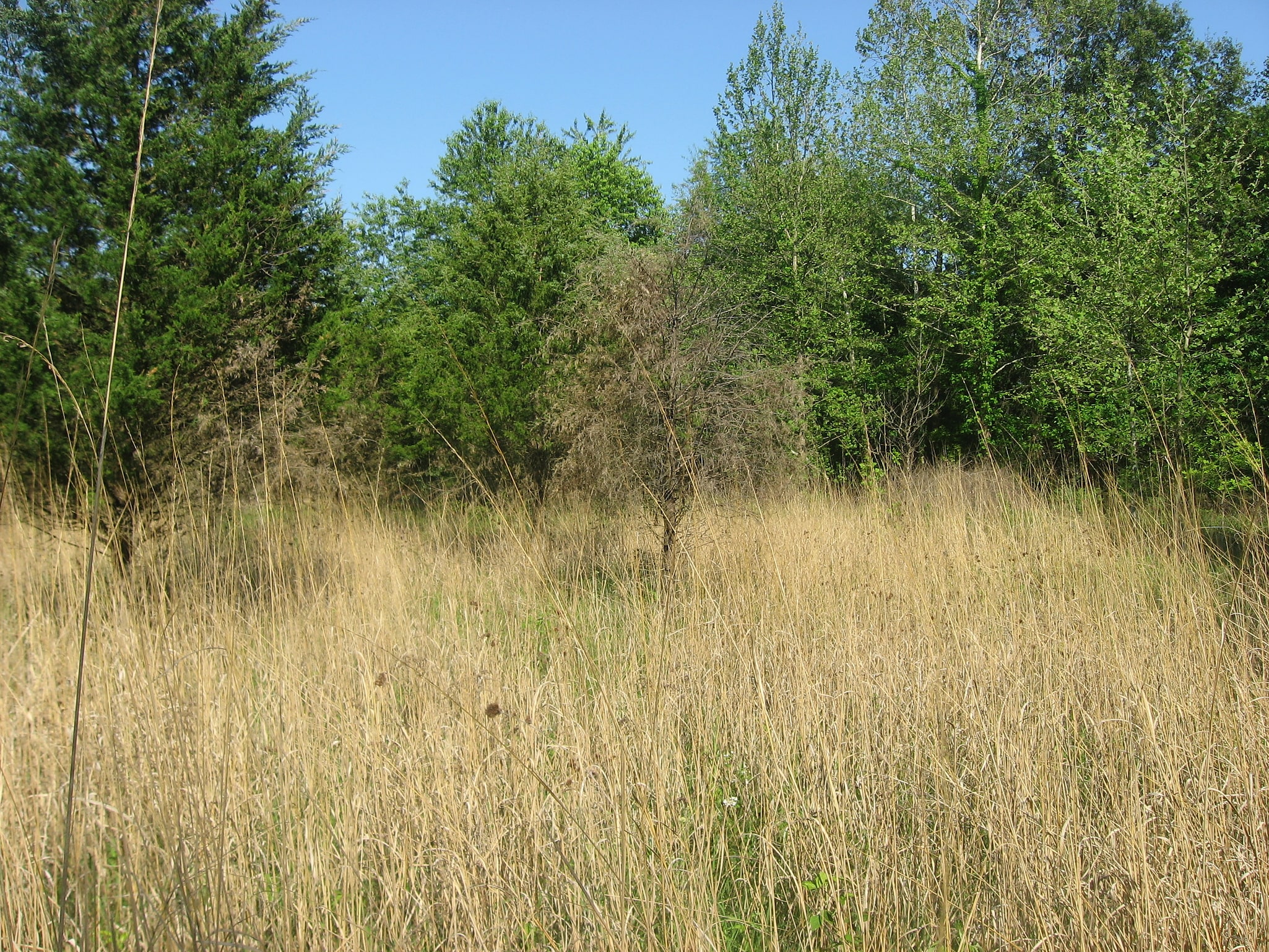 Middle Fork State Fish and Wildlife Area, Estados Unidos