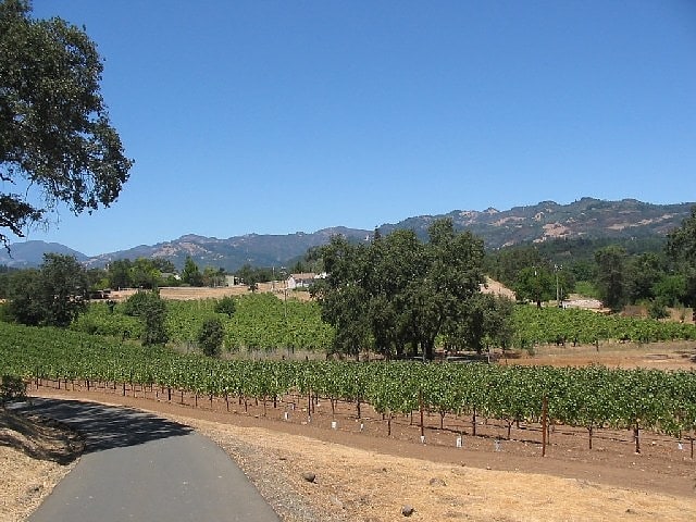 St. Helena, Estados Unidos