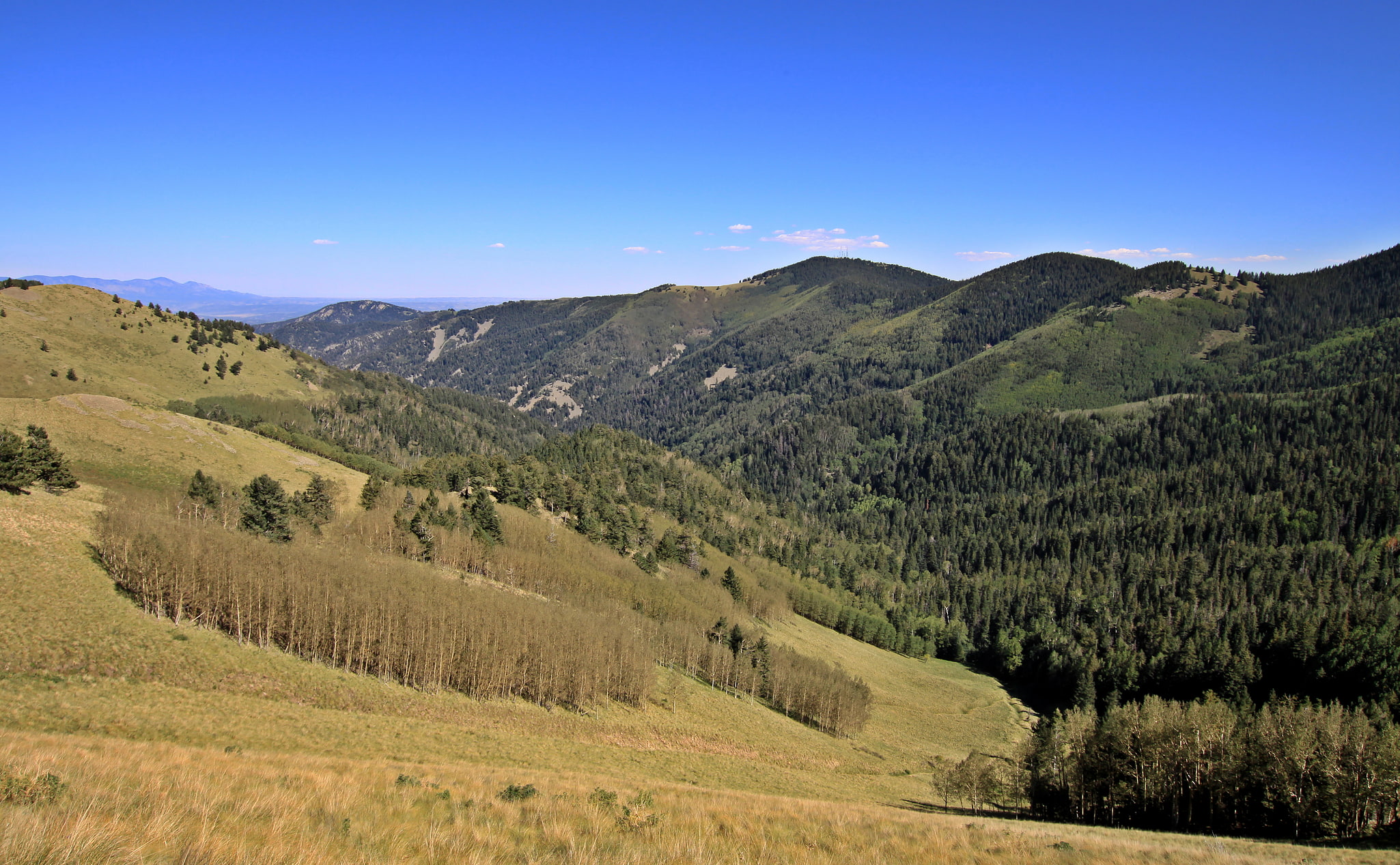 Lincoln National Forest, Stany Zjednoczone
