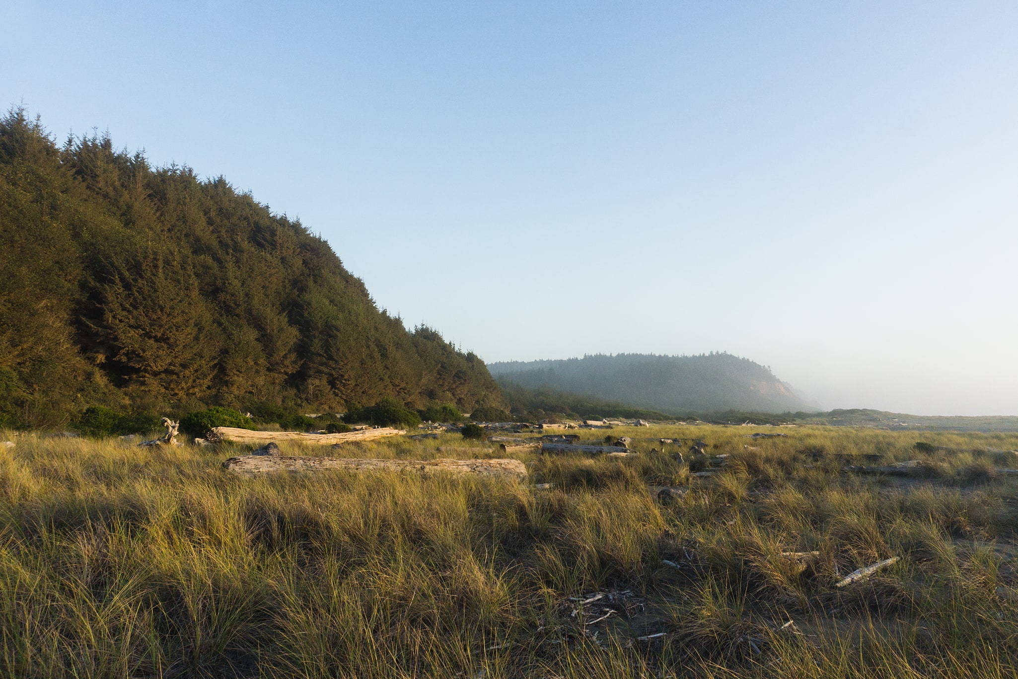 Parque estatal de Prairie Creek, Estados Unidos