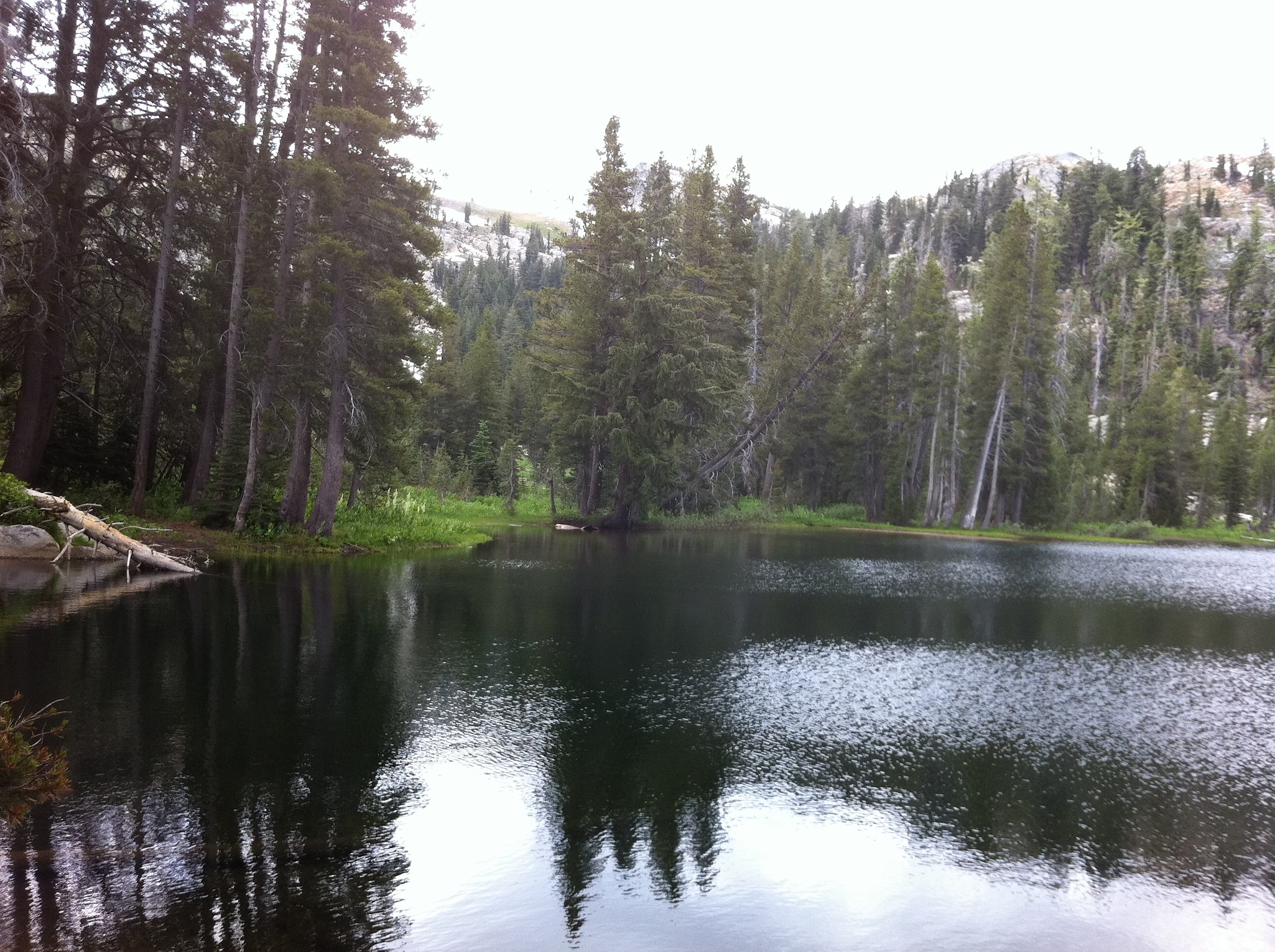 Carson-Iceberg Wilderness, Stany Zjednoczone