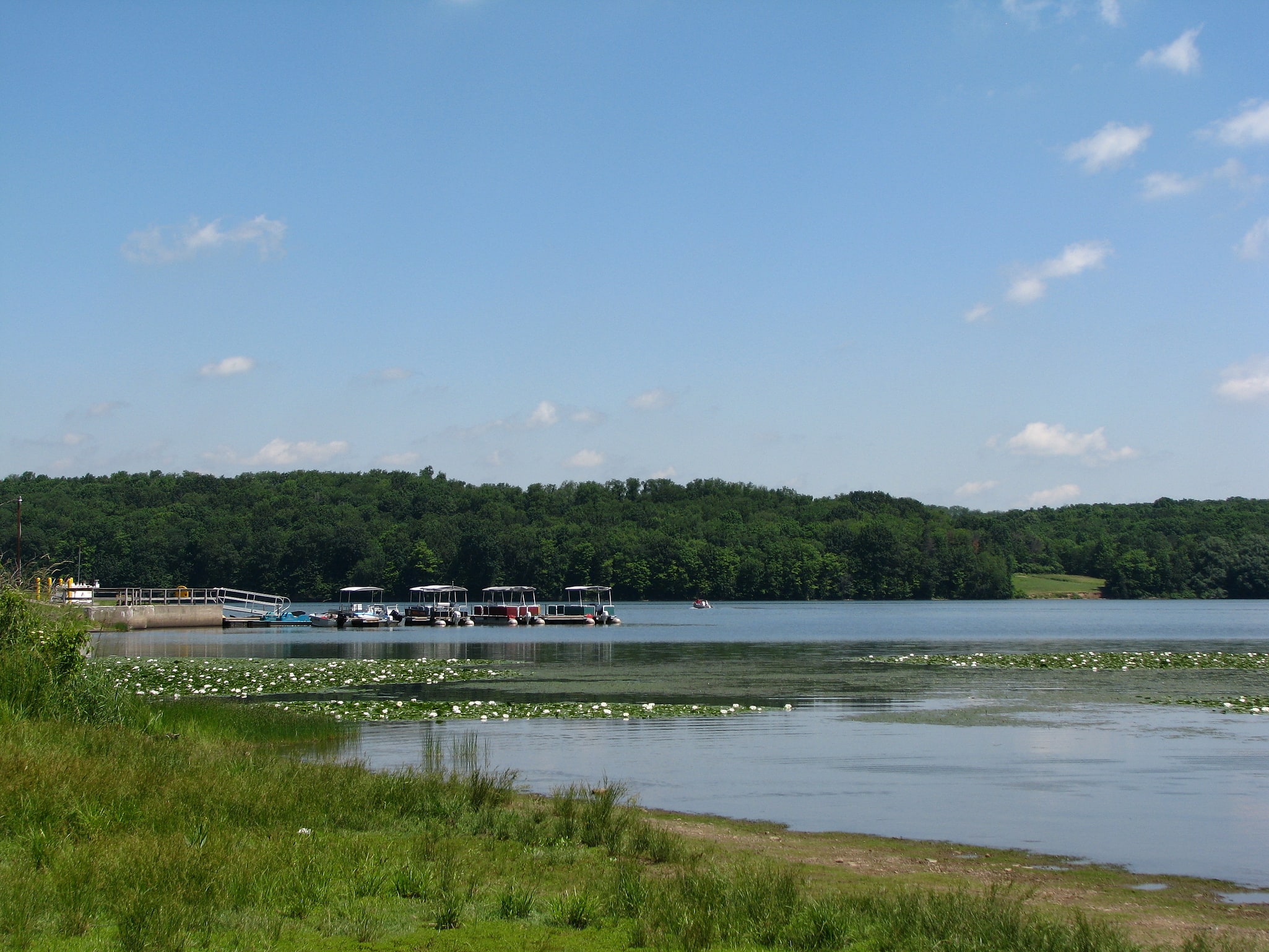 Yellow Creek State Park, Vereinigte Staaten