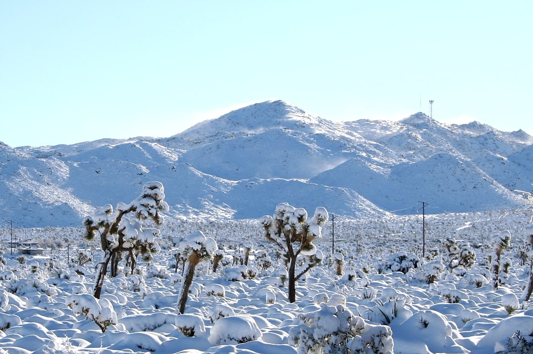 Yucca Valley, Stany Zjednoczone