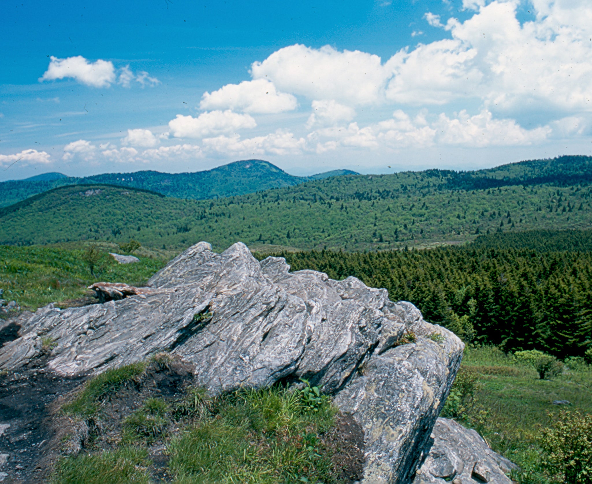 Shining Rock Wilderness, Estados Unidos