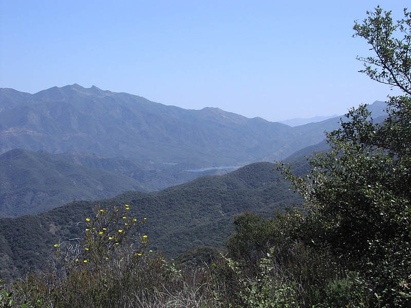 Los Padres National Forest, Stany Zjednoczone
