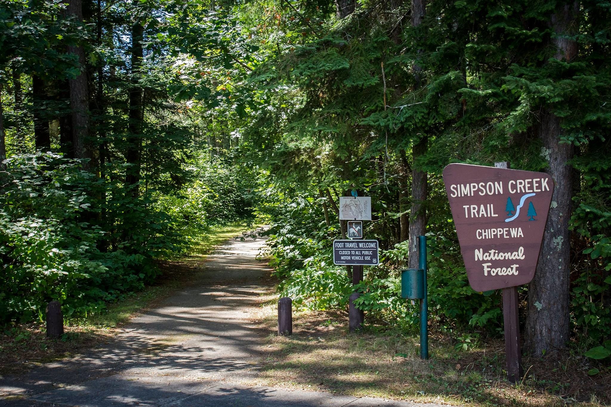 Forêt nationale de Chippewa, États-Unis