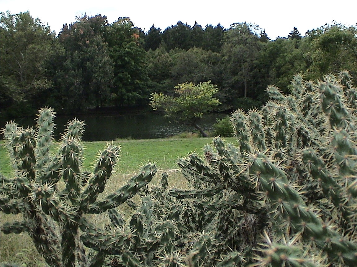 Lisle, Estados Unidos