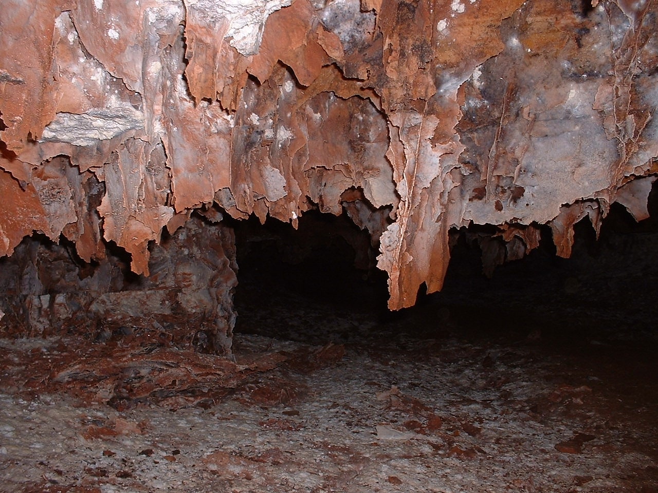 Wind-Cave-Nationalpark, Vereinigte Staaten