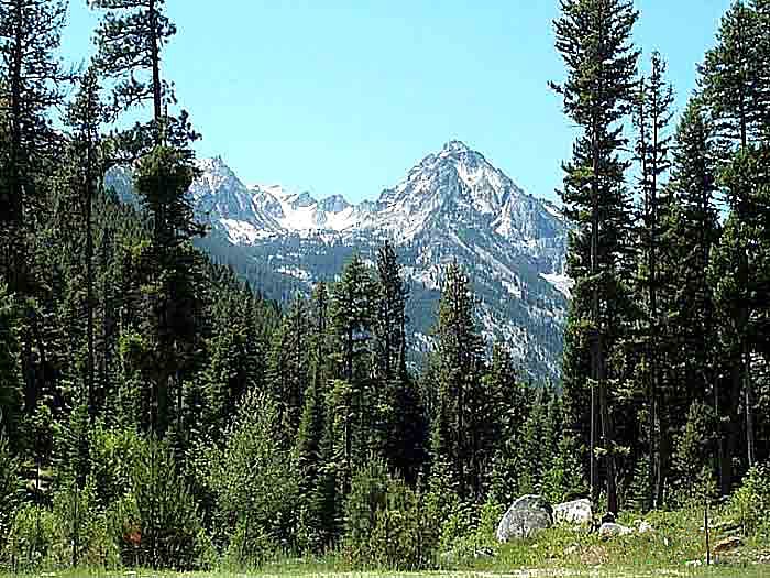 Forêt nationale de Bitterroot, États-Unis