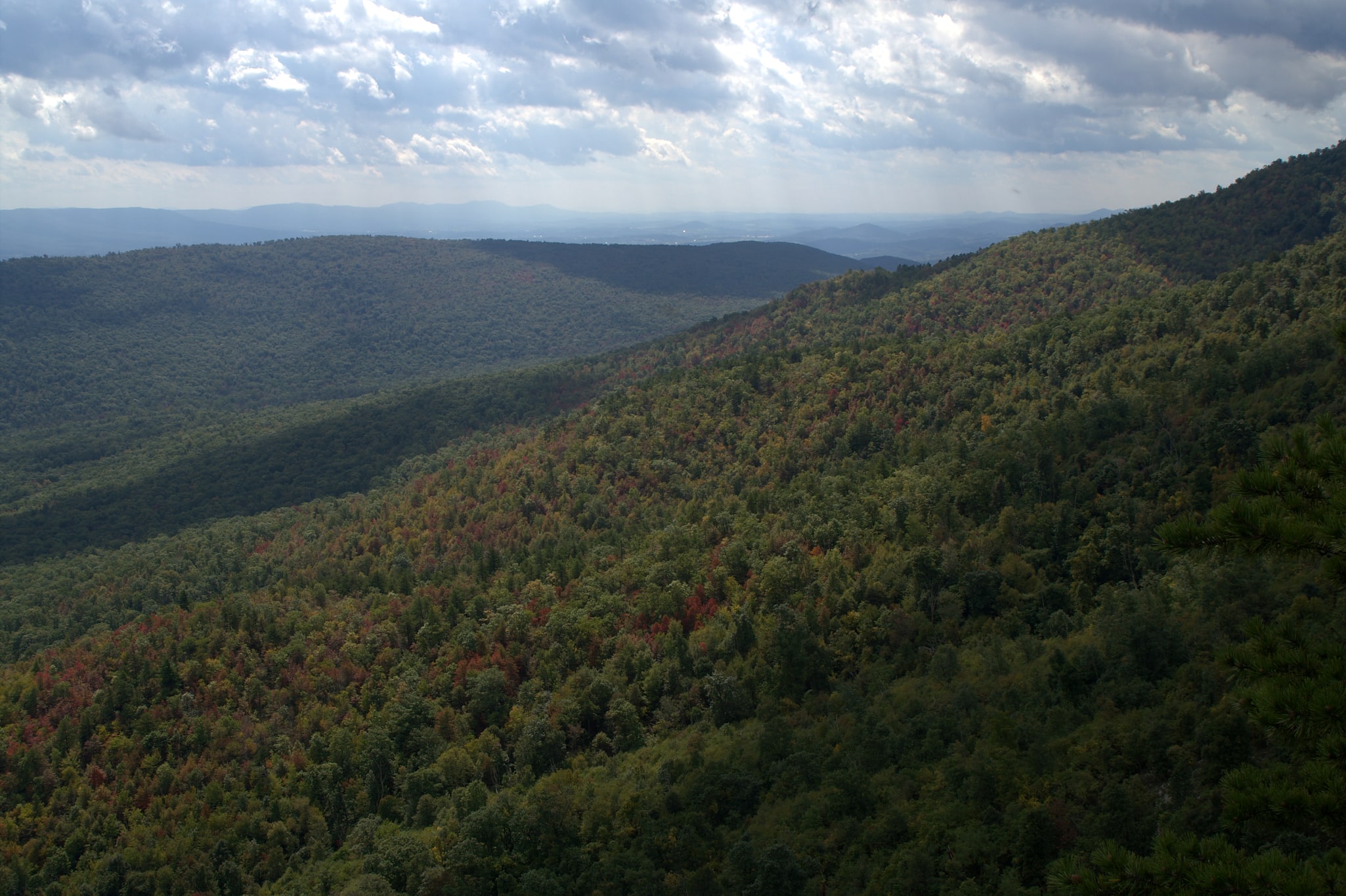 George Washington and Jefferson National Forests, Stany Zjednoczone