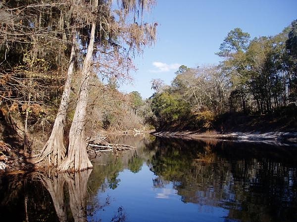 Suwannee River State Park, United States