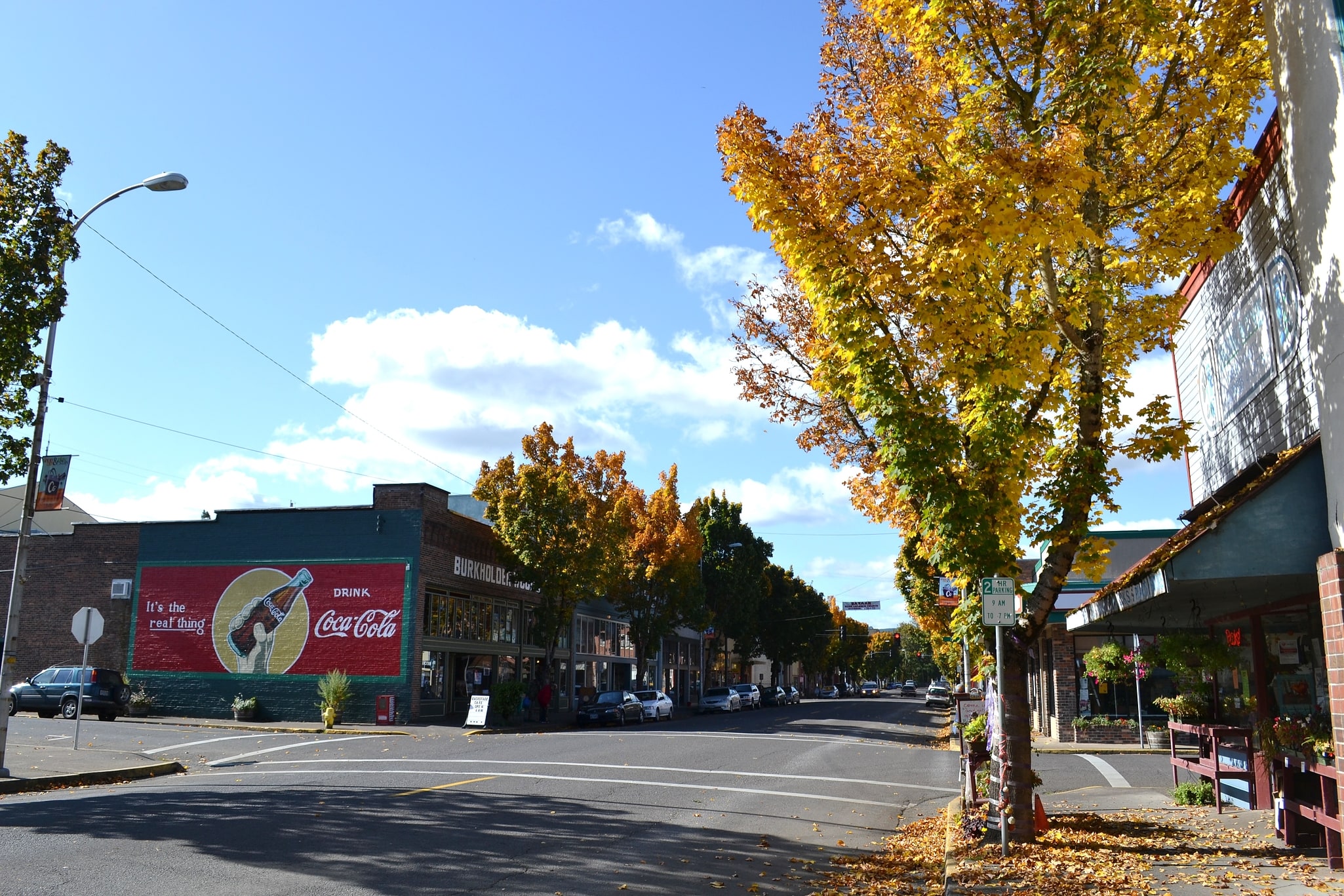 Cottage Grove, États-Unis