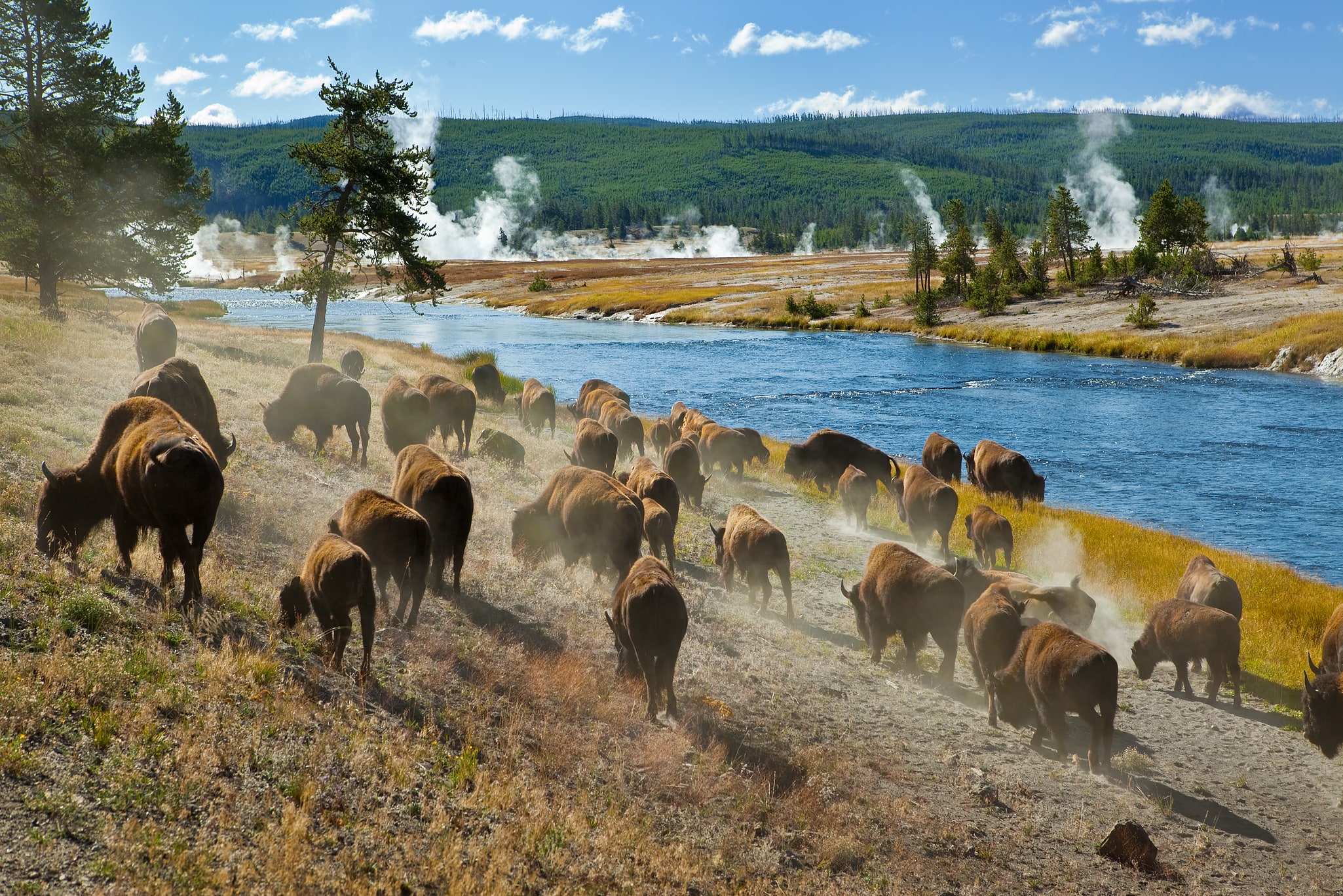 Park Narodowy Yellowstone, Stany Zjednoczone