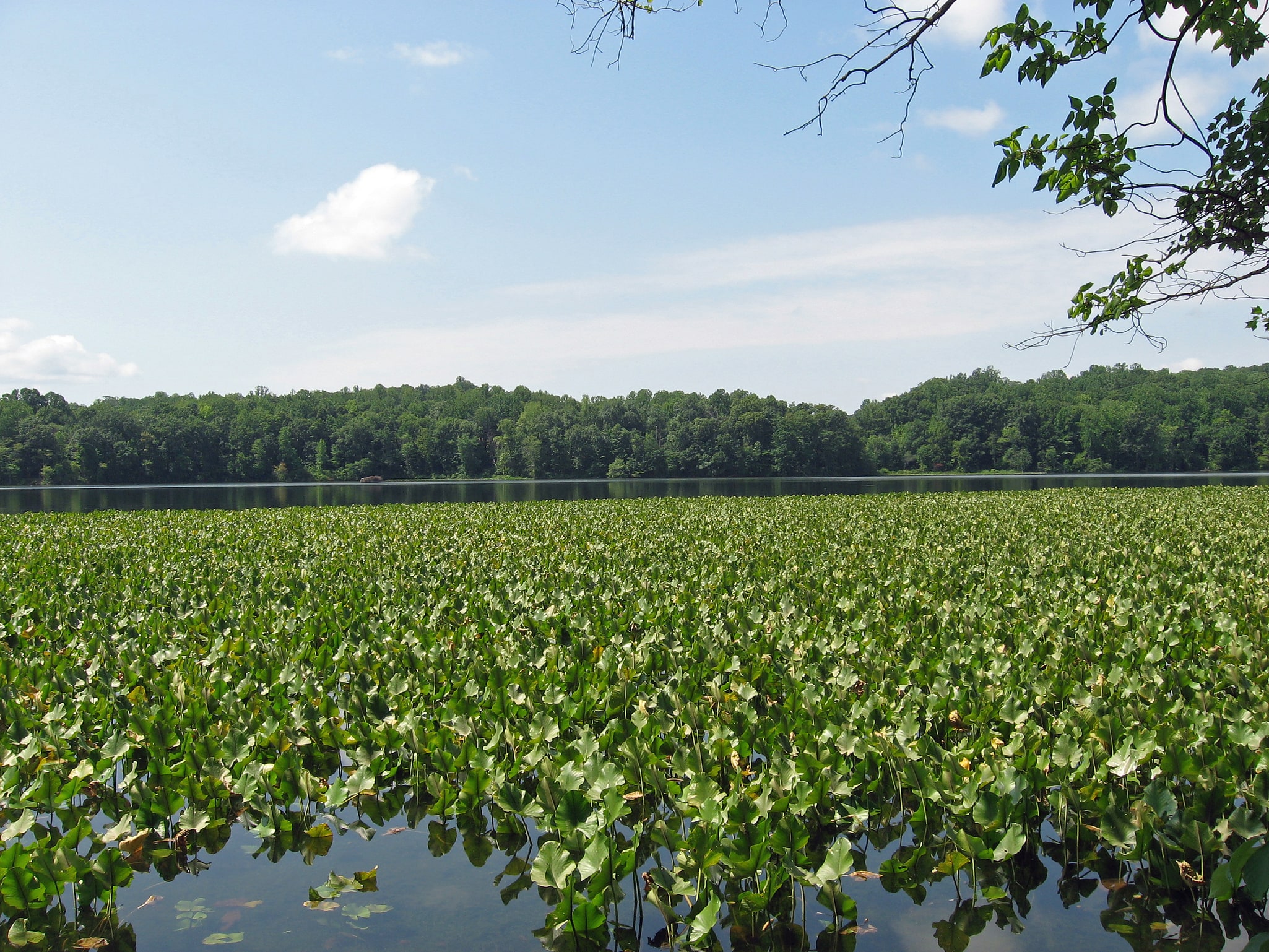 Leesylvania State Park, Estados Unidos