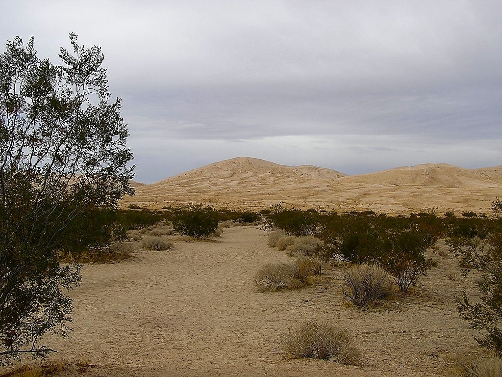Mojave National Preserve, Vereinigte Staaten