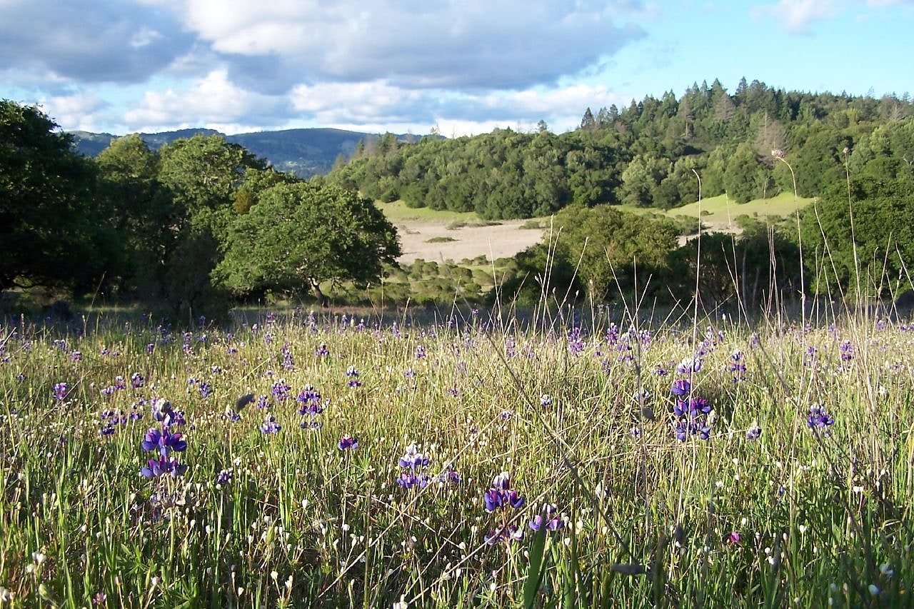 Park Stanowy Annadel, Stany Zjednoczone