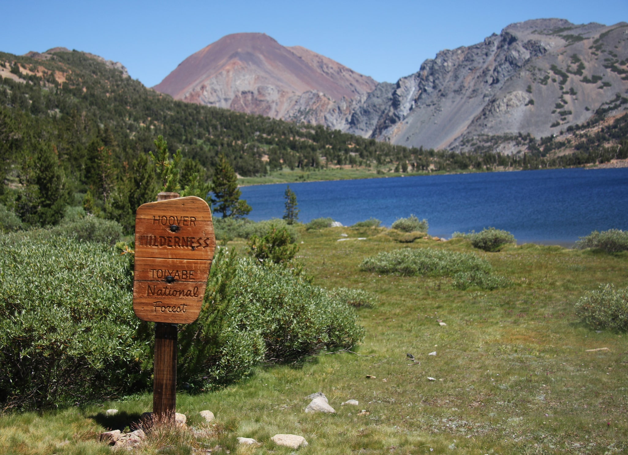 Hoover Wilderness, États-Unis