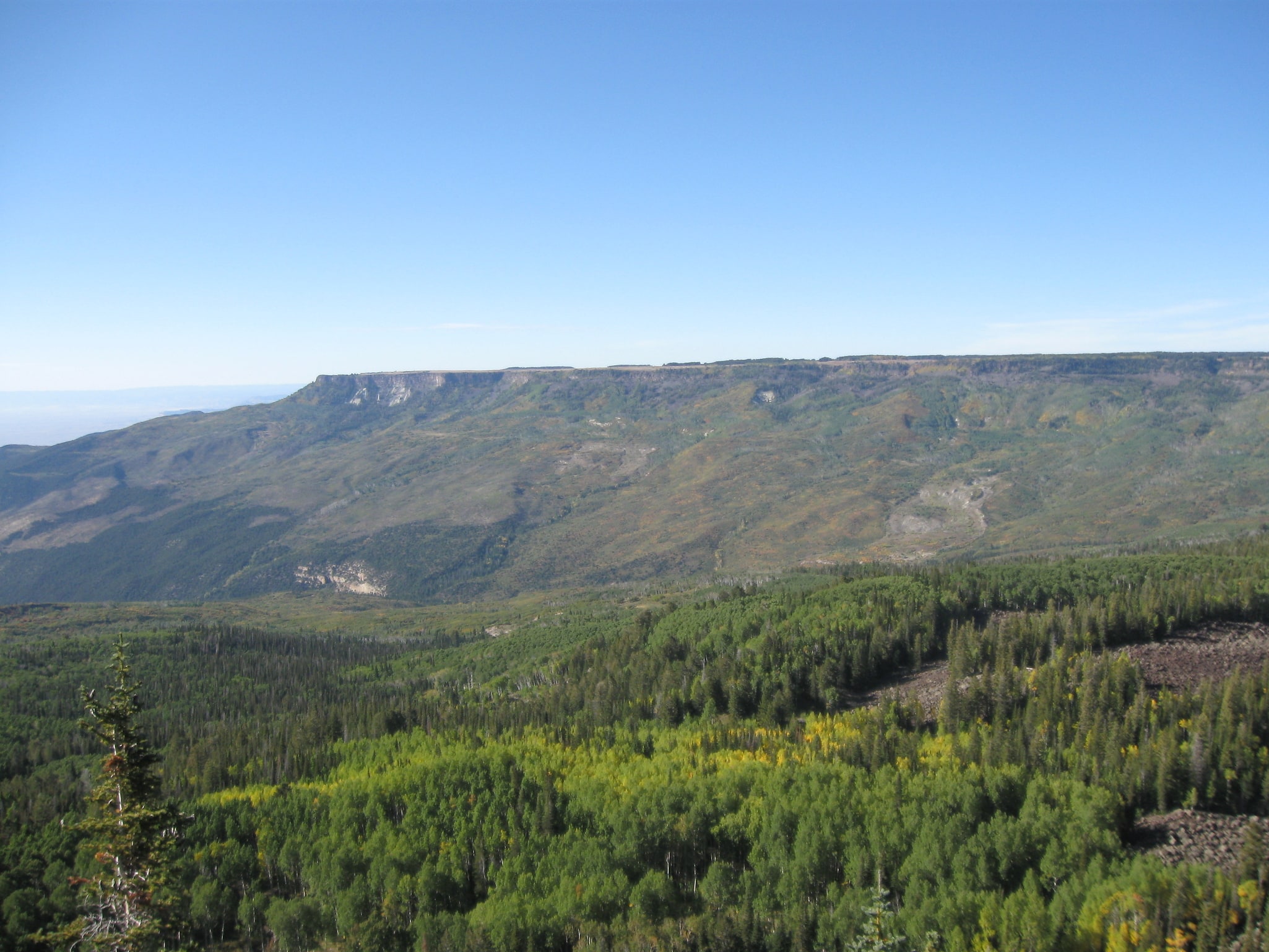 Grand Mesa National Forest, Stany Zjednoczone