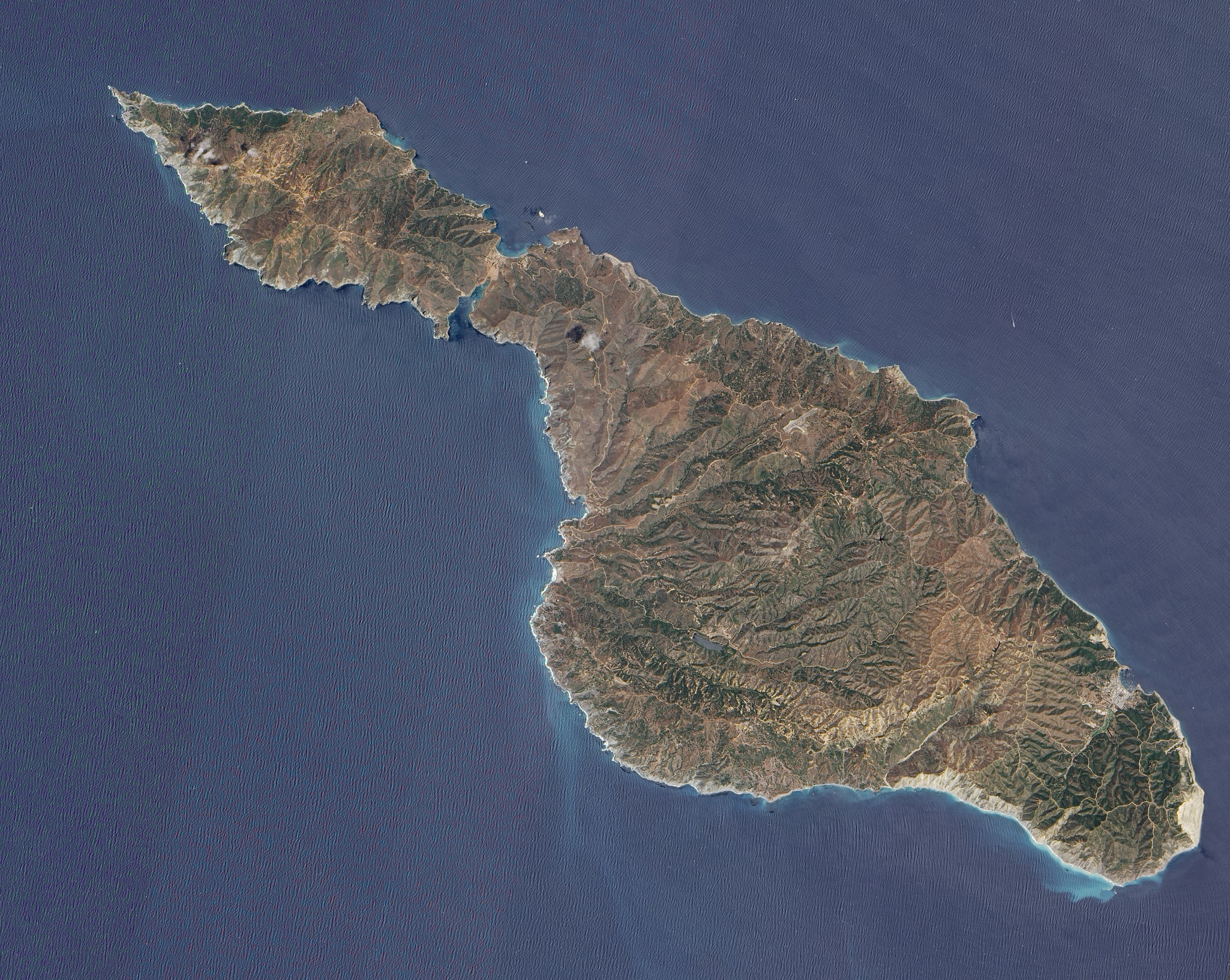 Île Santa Catalina, États-Unis