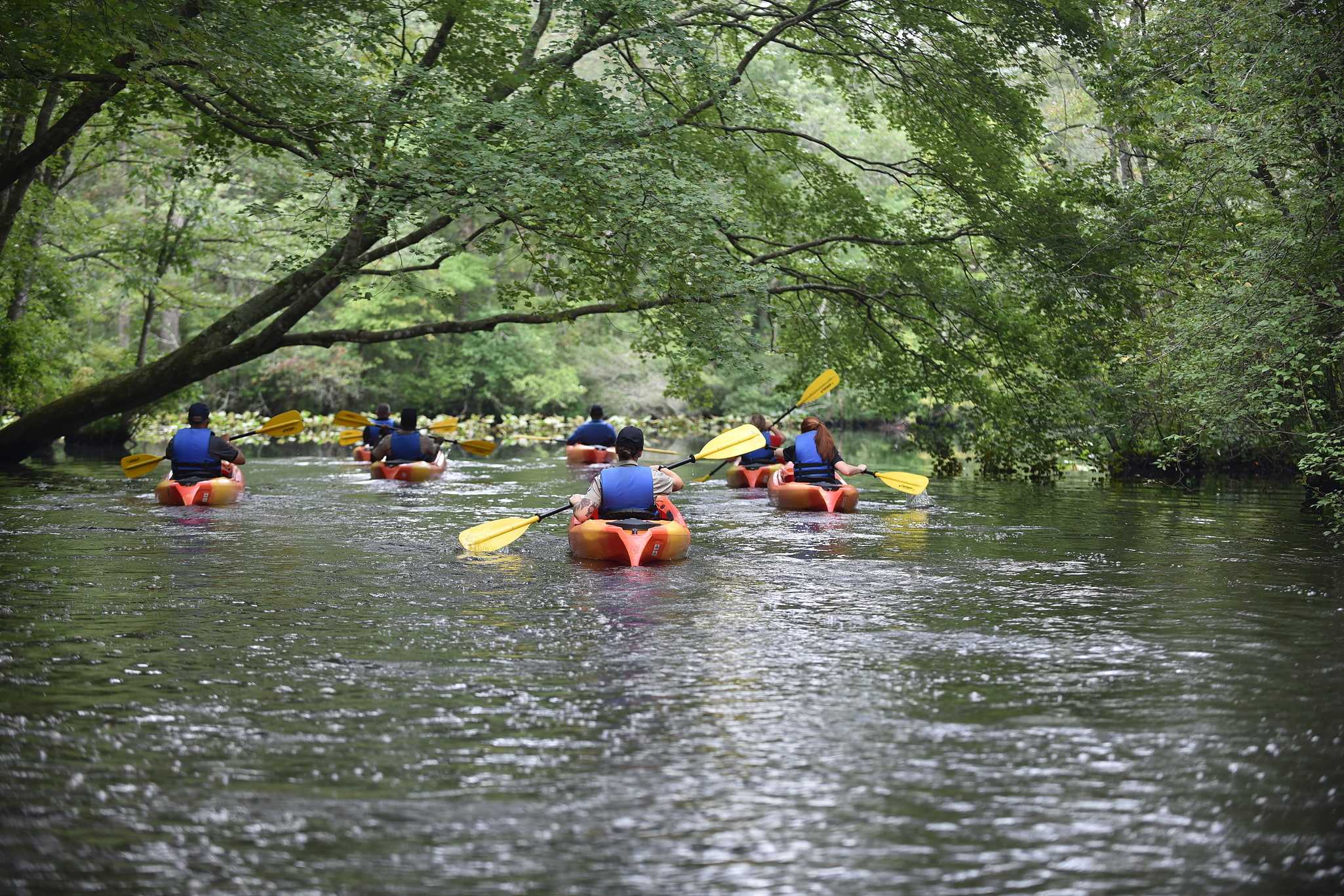 Pocomoke River State Park, United States