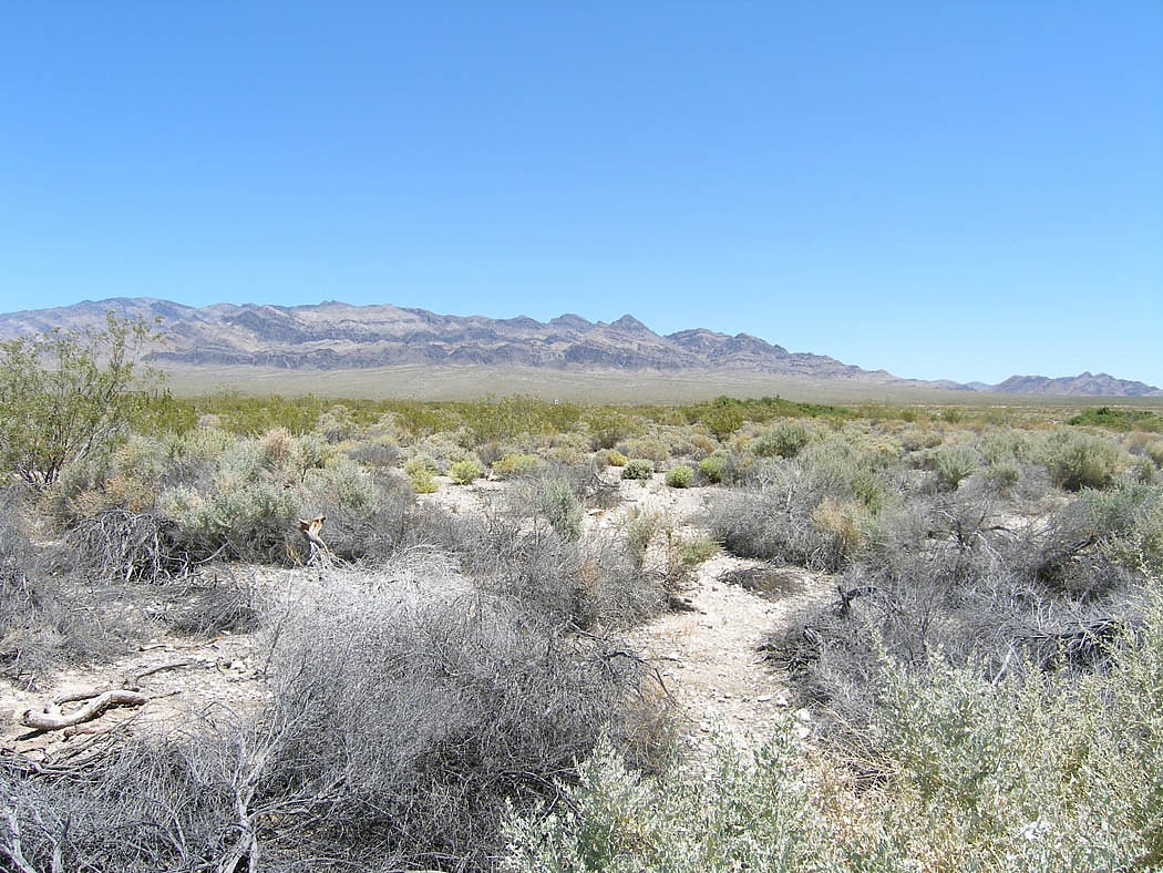 Desert National Wildlife Refuge, United States