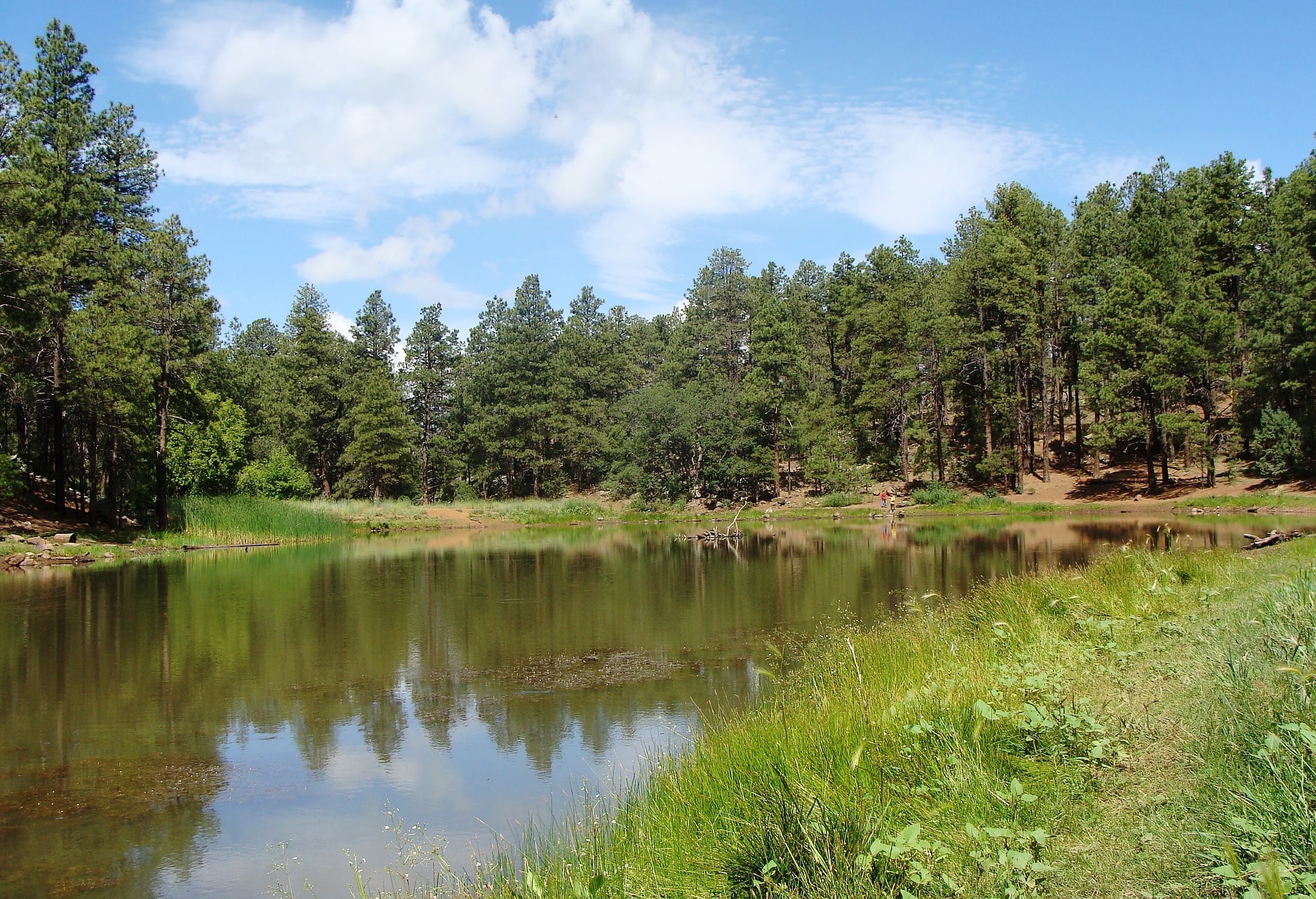 Prescott National Forest, Vereinigte Staaten