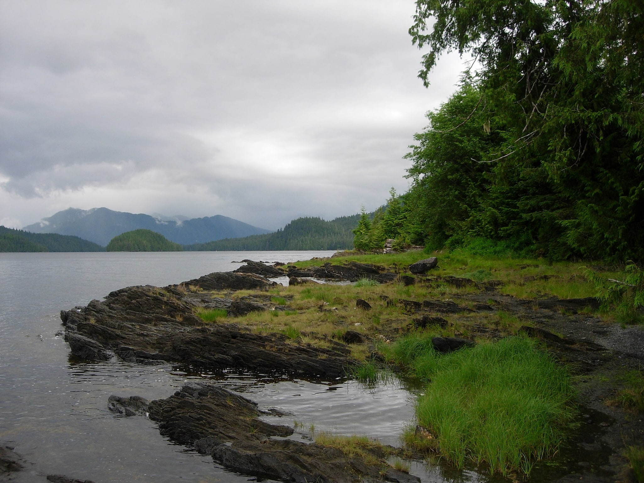 Tongass National Forest, Stany Zjednoczone