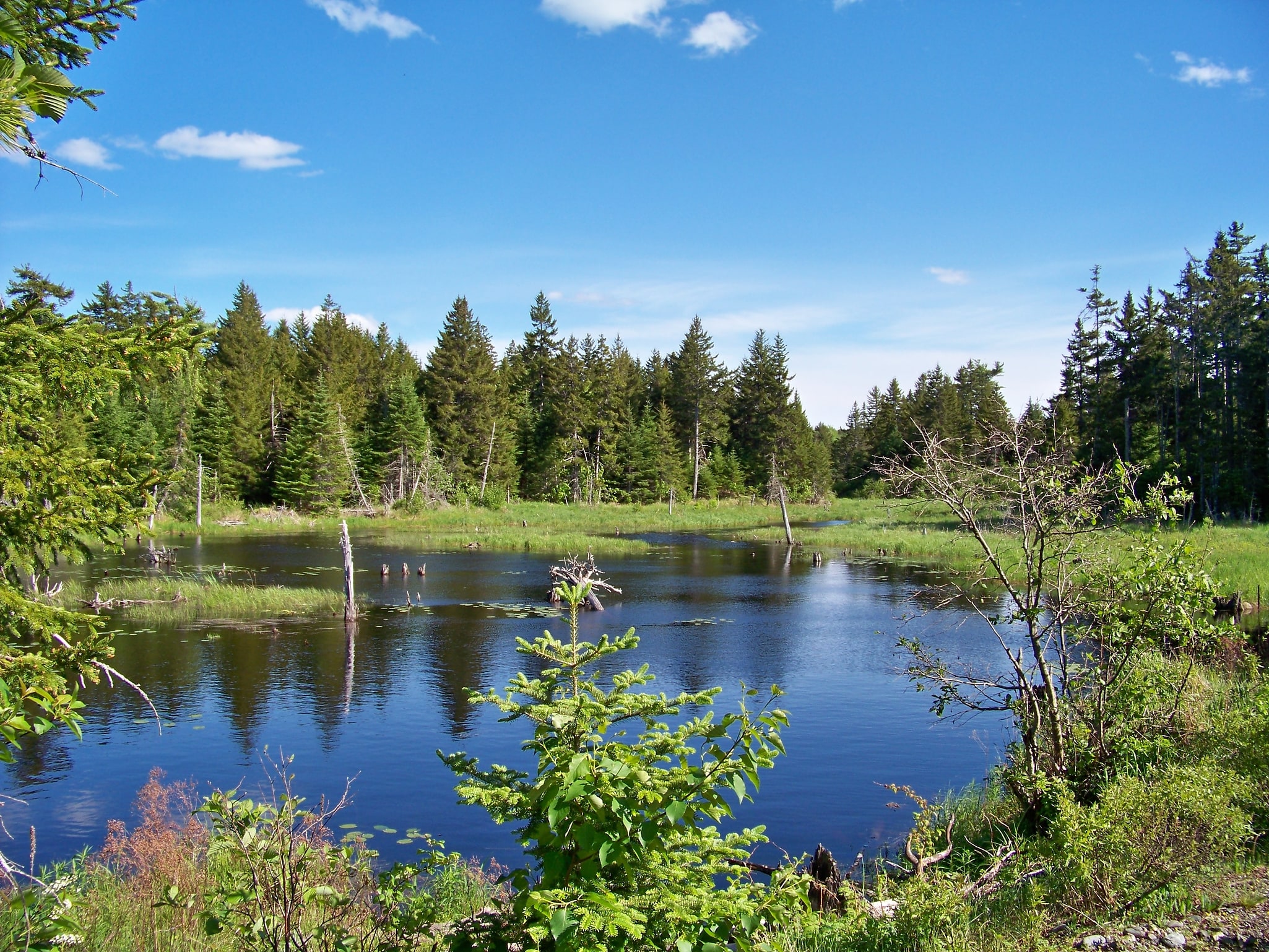 Moosehorn National Wildlife Refuge, Vereinigte Staaten