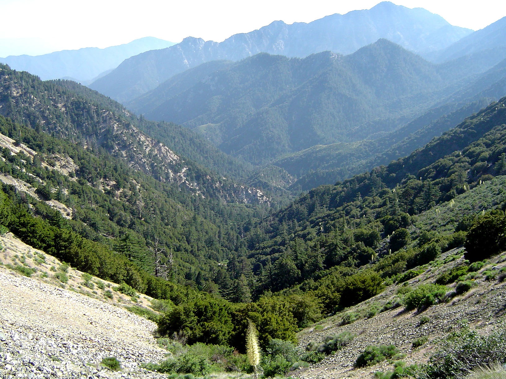 Angeles National Forest, Stany Zjednoczone