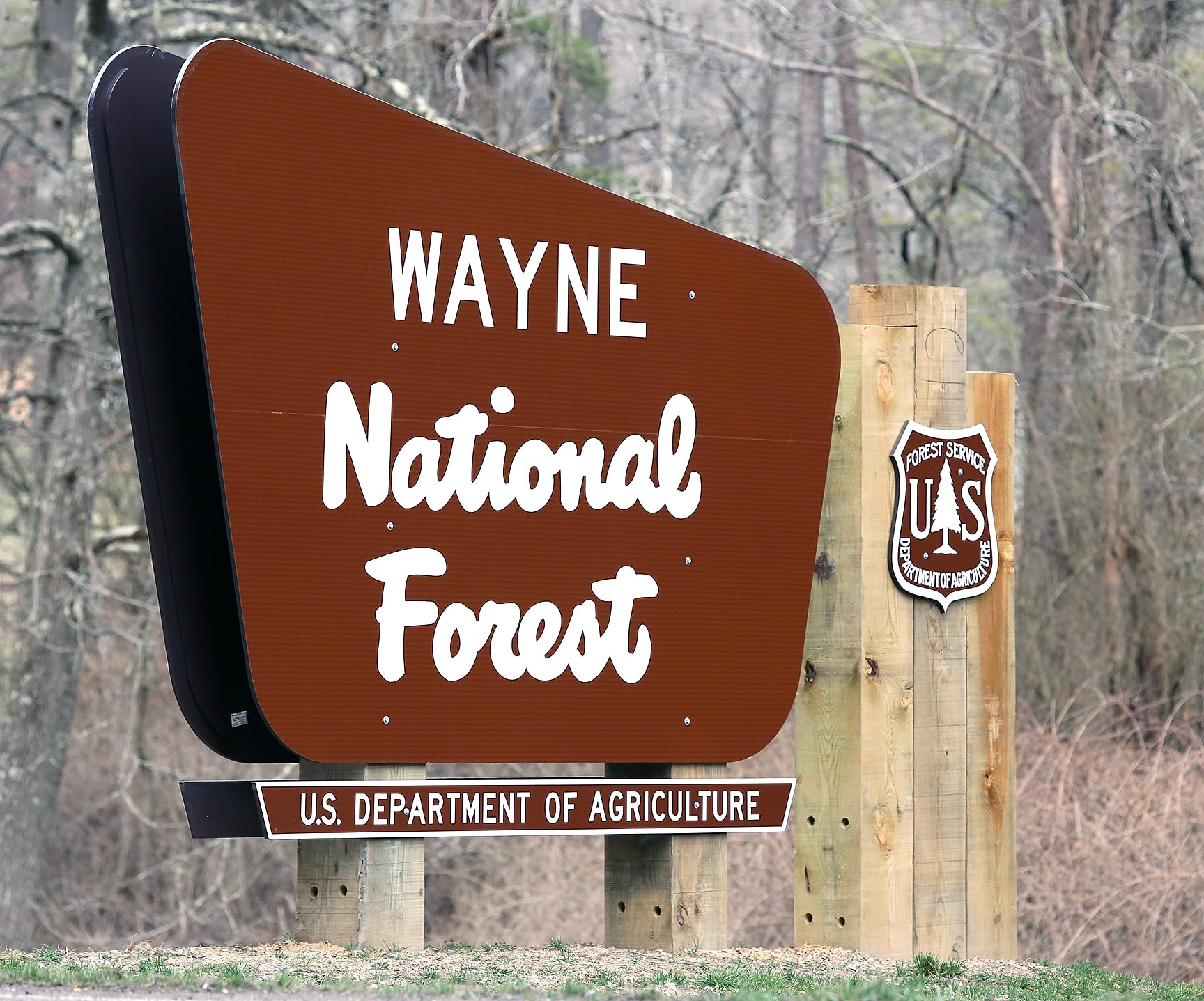 Bosque nacional Wayne, Estados Unidos