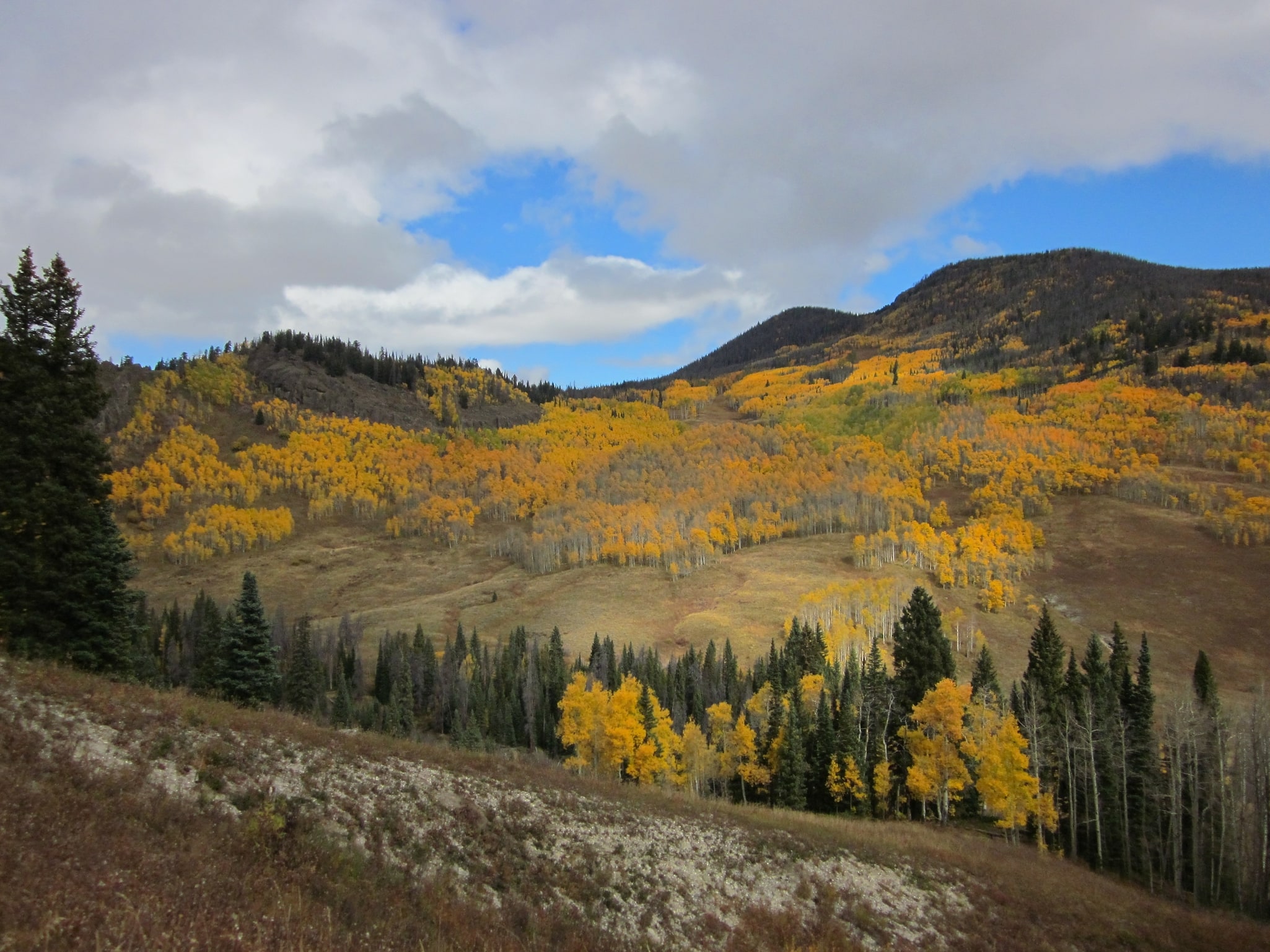 Arapaho National Forest, United States