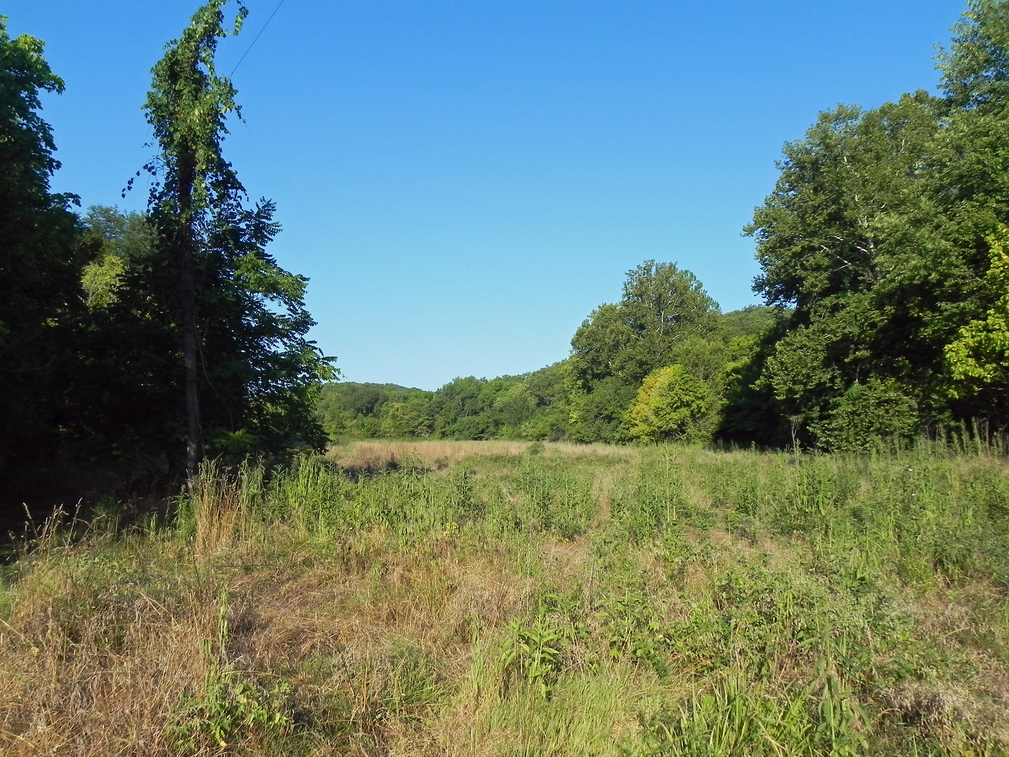 Forest 44 Conservation Area, Estados Unidos