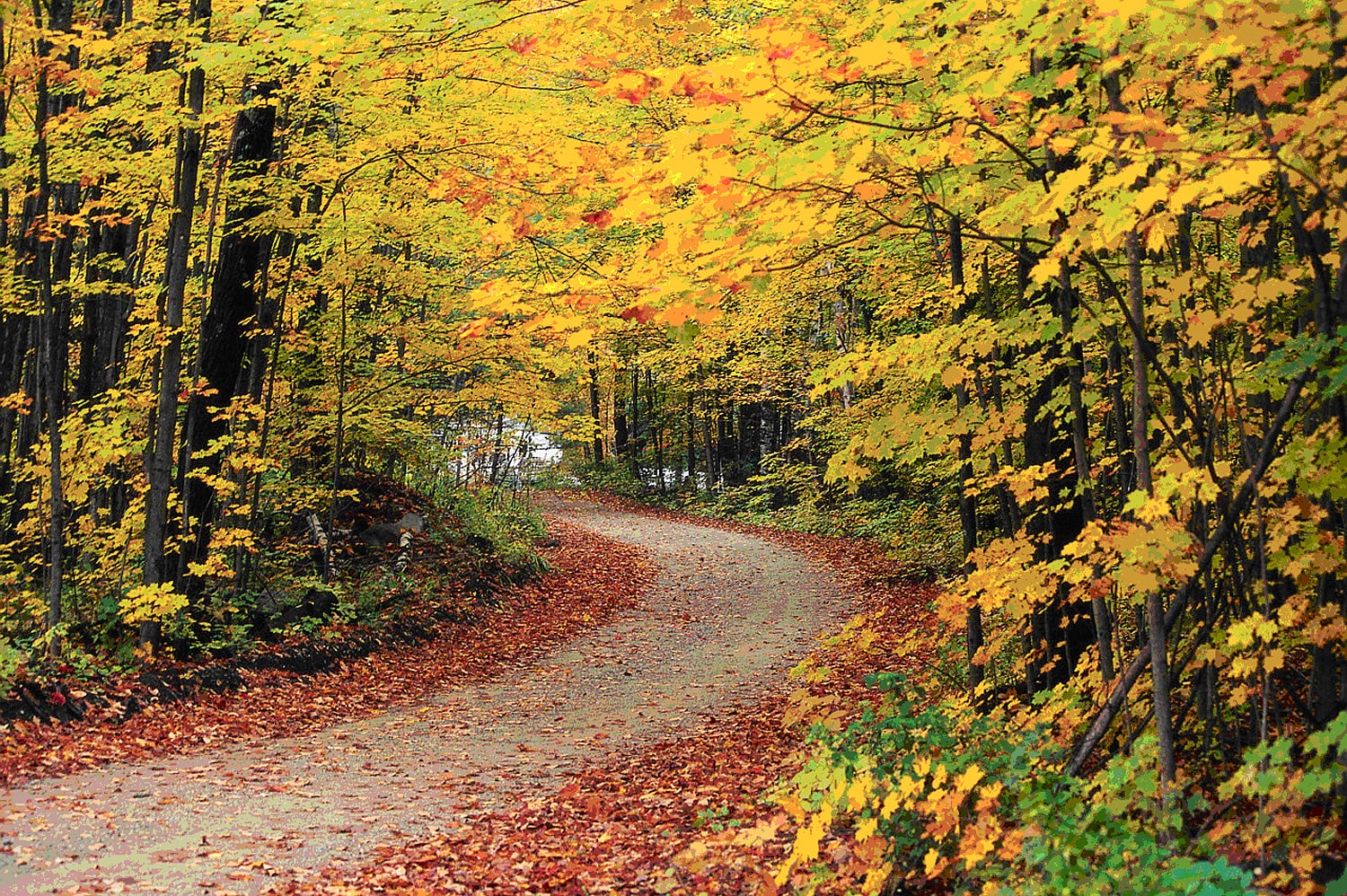 Green Mountain National Forest, United States