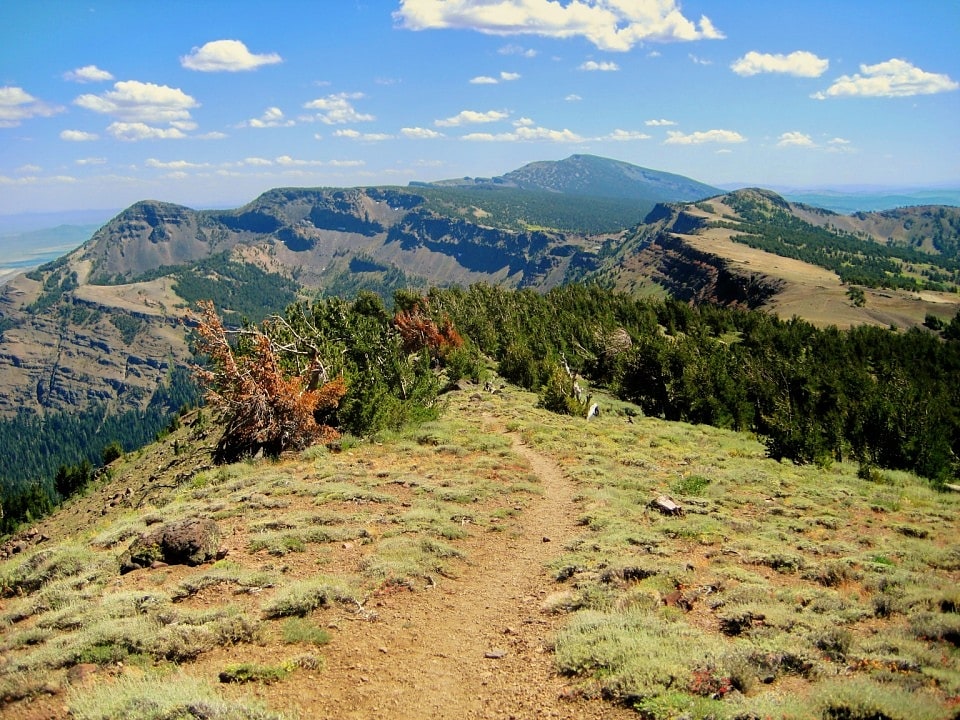 Forêt nationale de Modoc, États-Unis