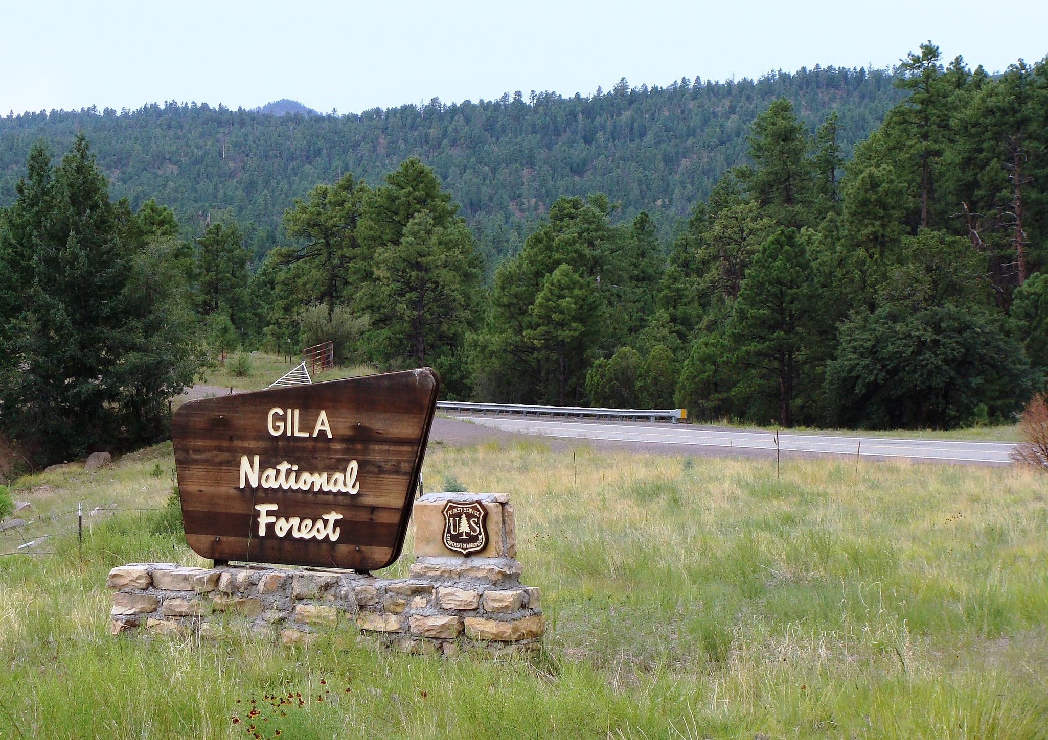 Gila National Forest, United States