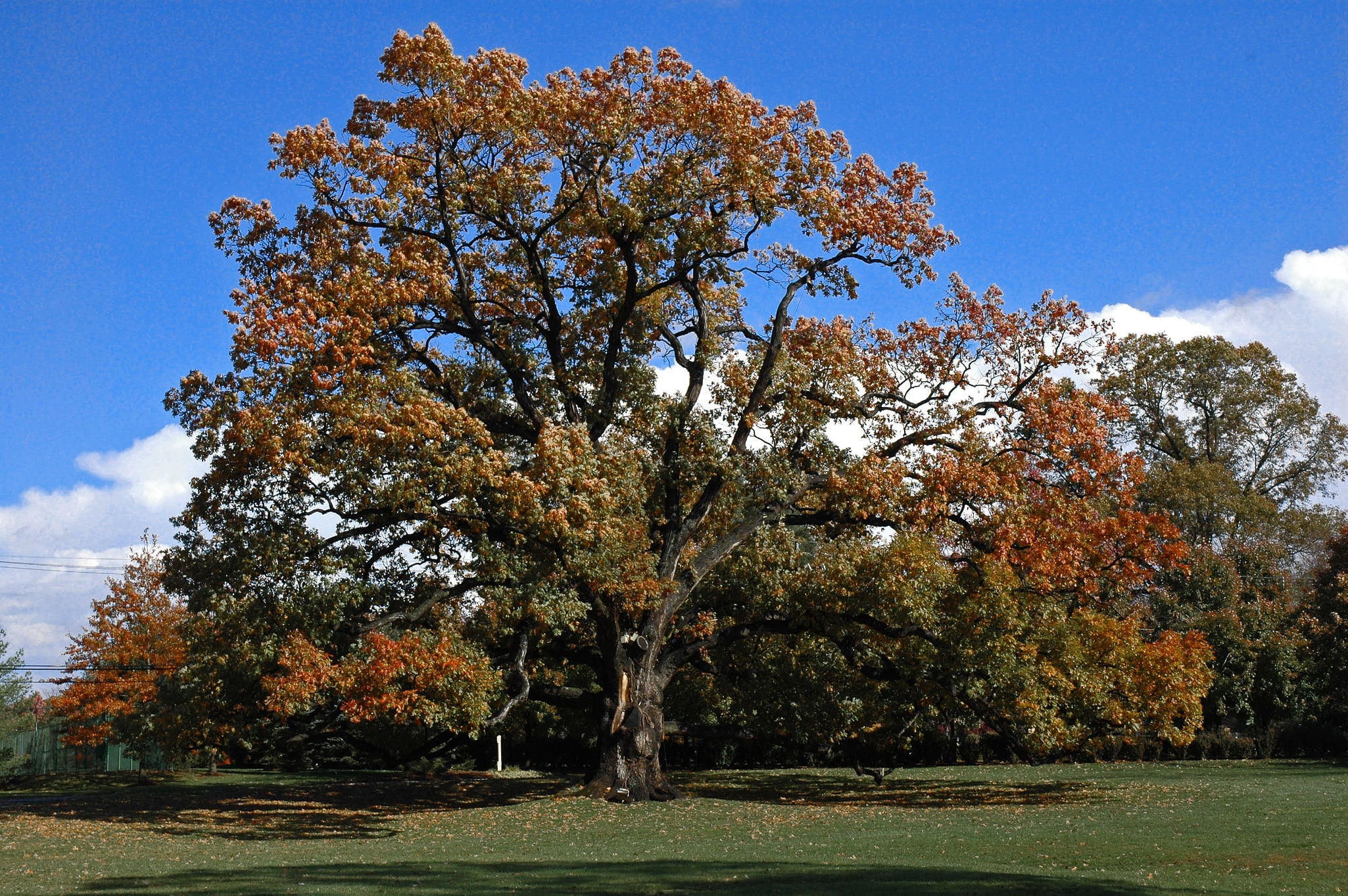 Florham Park, Stany Zjednoczone