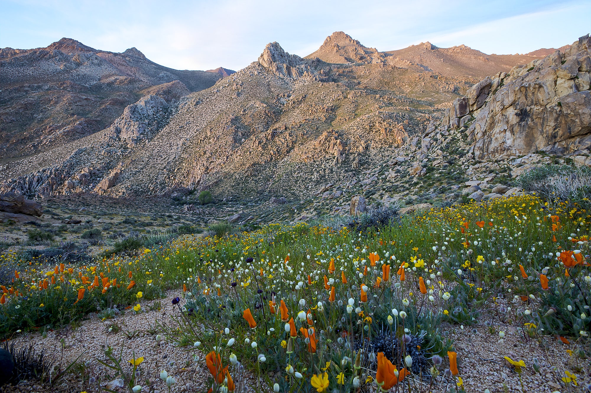 Owens Peak Wilderness, Estados Unidos