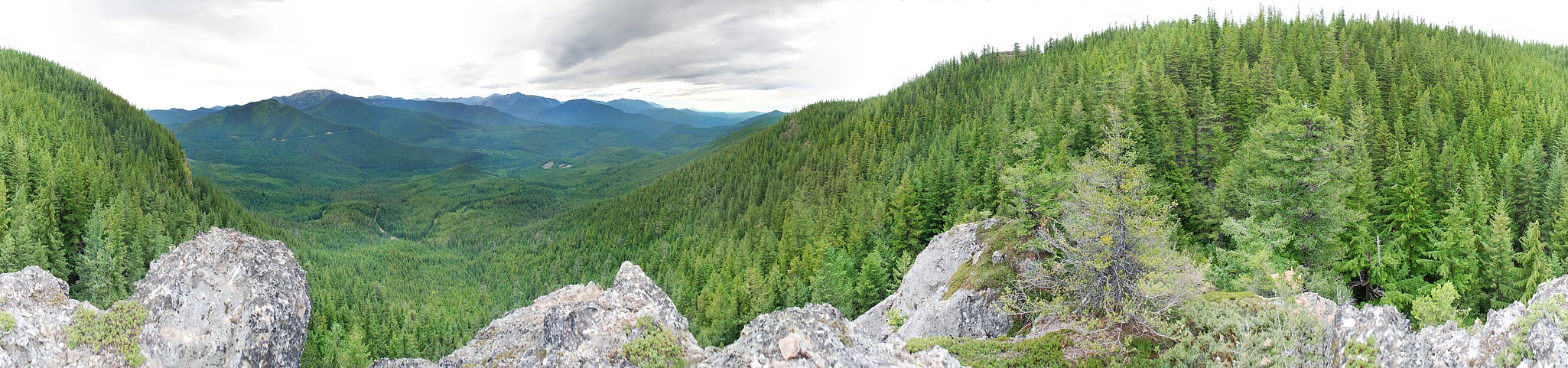 Olympic National Forest, Stany Zjednoczone