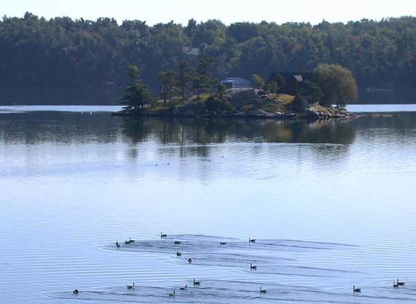 Isla Wellesley, Estados Unidos