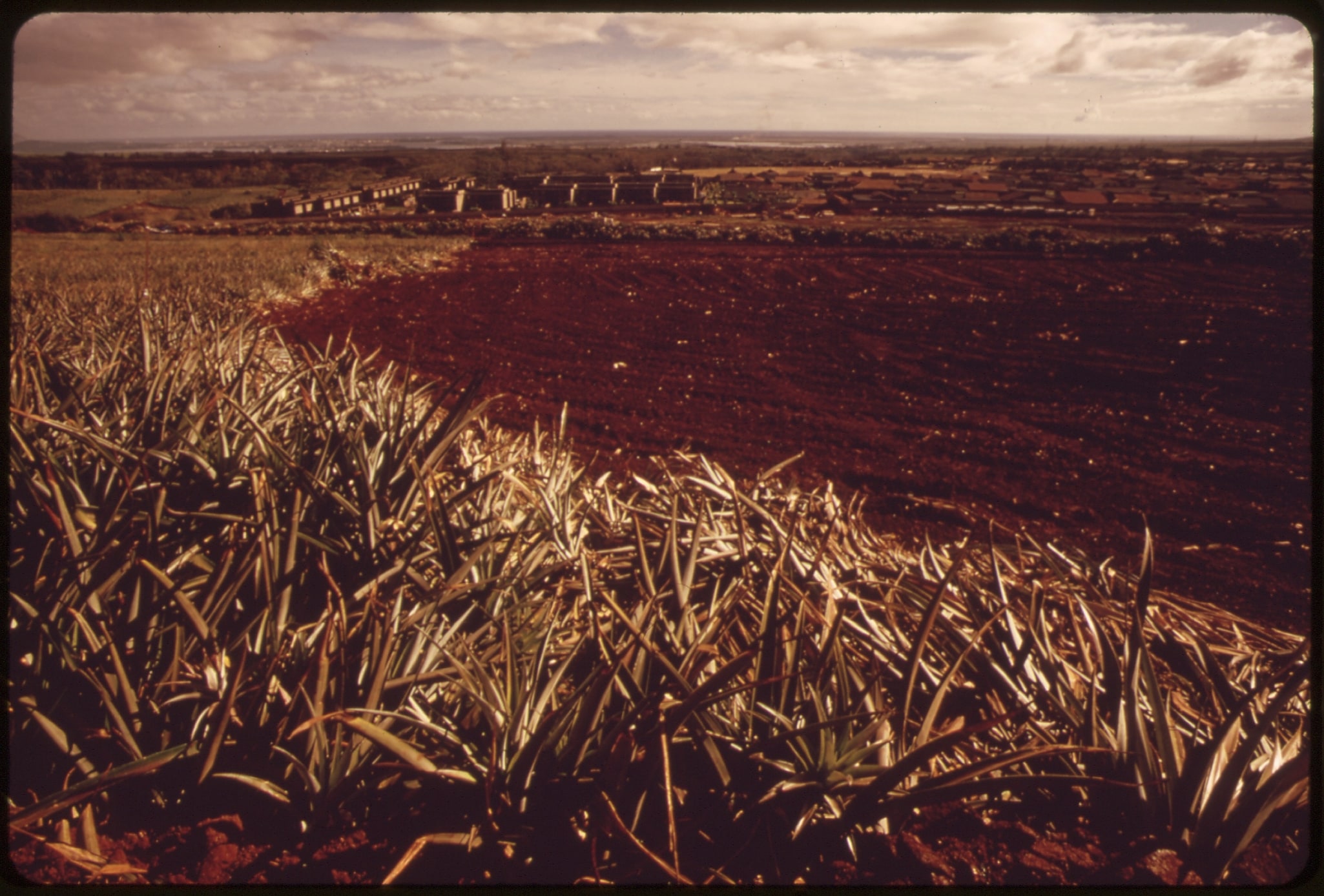 Mililani, United States