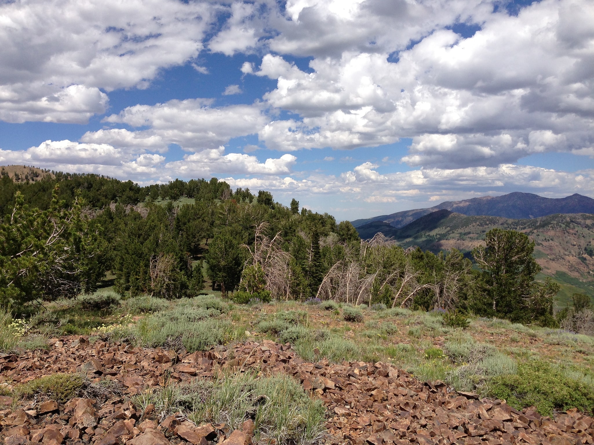 Copper Mountain, Vereinigte Staaten