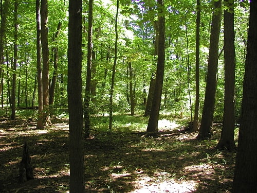 Park Stanowy Evansburg, Stany Zjednoczone