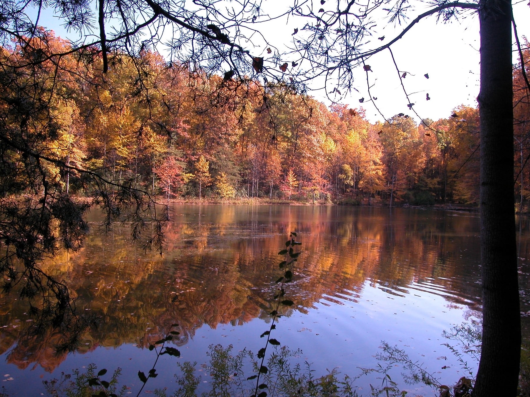 Seneca Creek State Park, Vereinigte Staaten