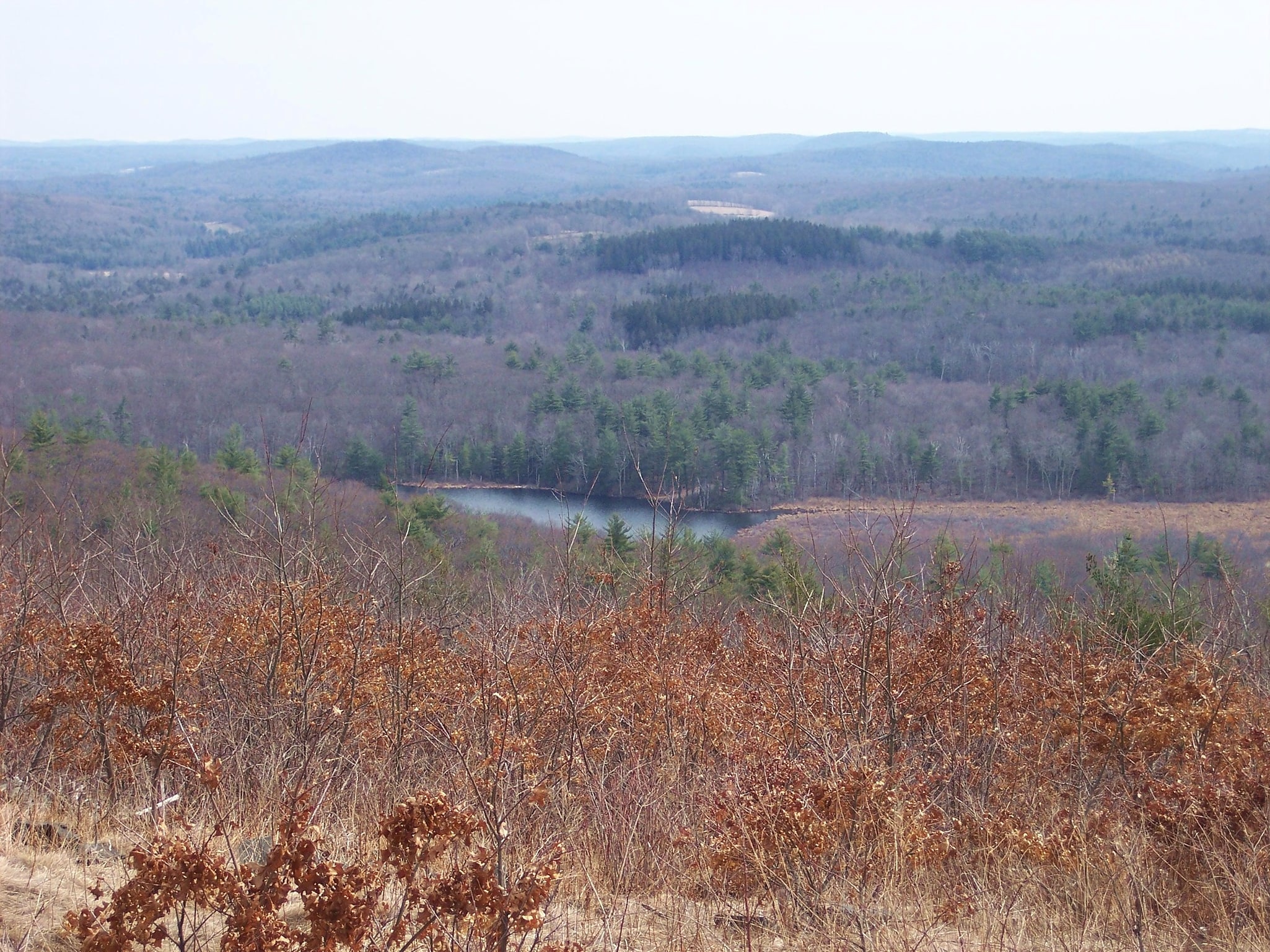 Mohawk State Forest, United States