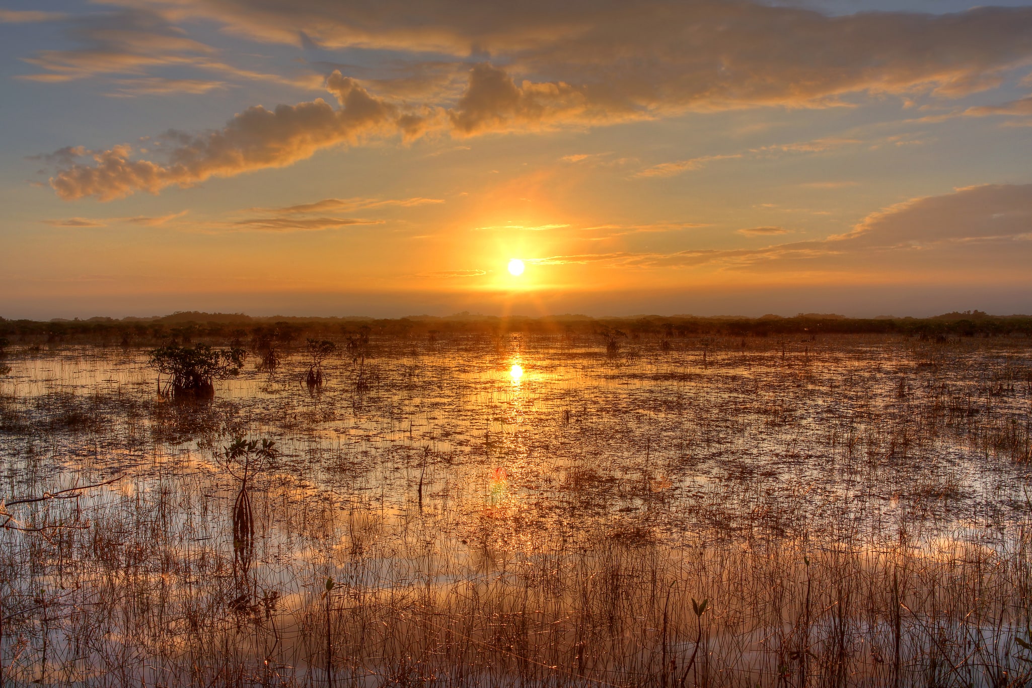 Parque nacional de los Everglades, Estados Unidos
