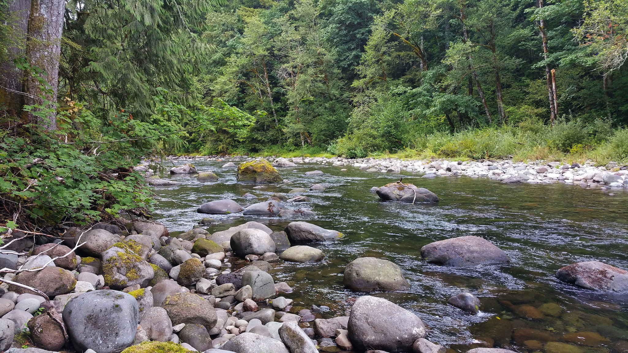 Salmon–Huckleberry Wilderness, Stany Zjednoczone
