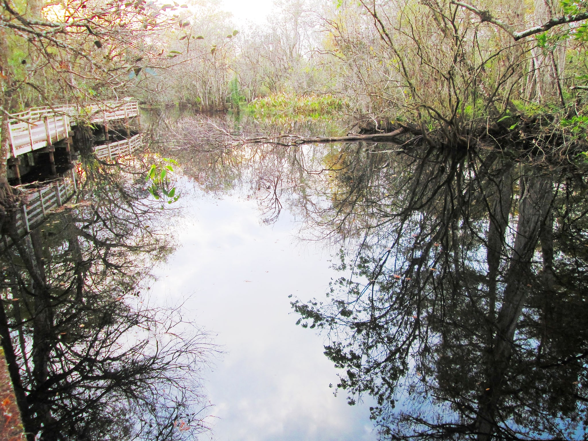 Corkscrew Swamp Sanctuary, Estados Unidos